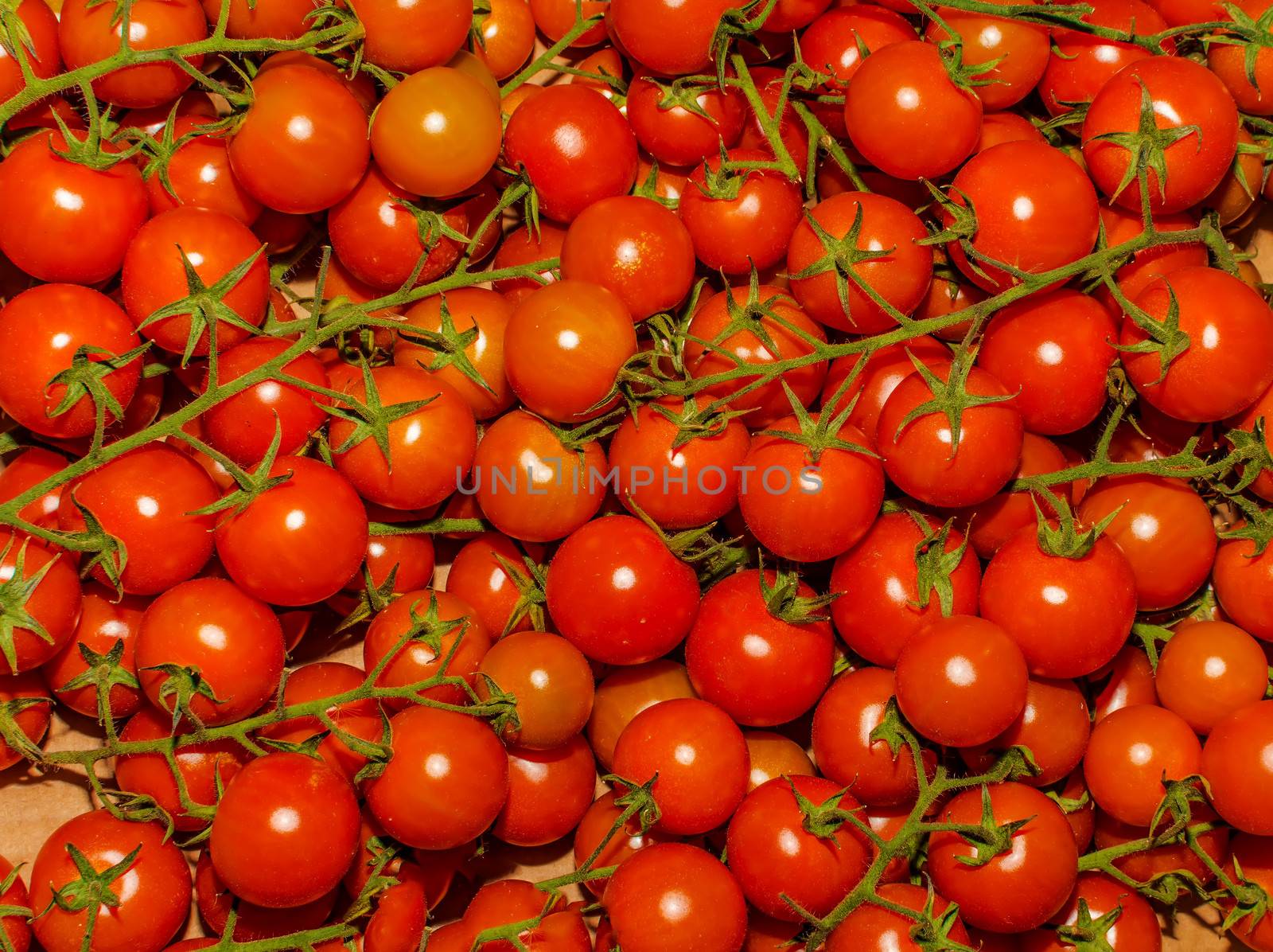 a lot of red tomatoes background