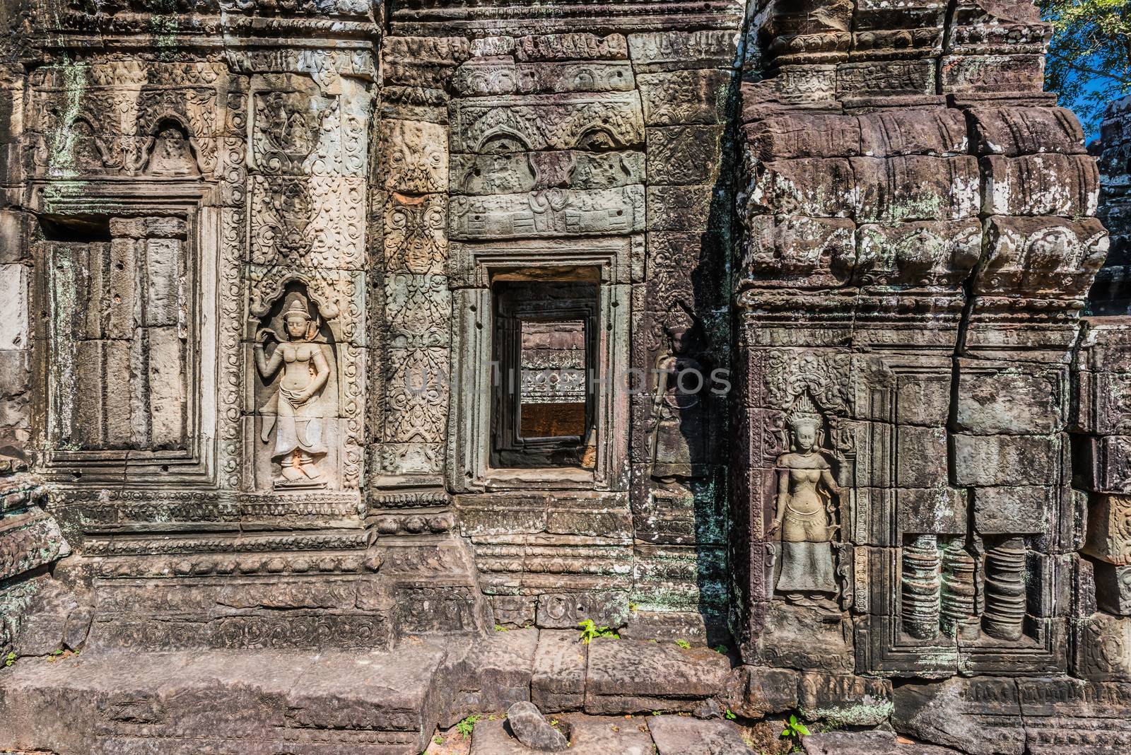 ta prohm angkor wat cambodia