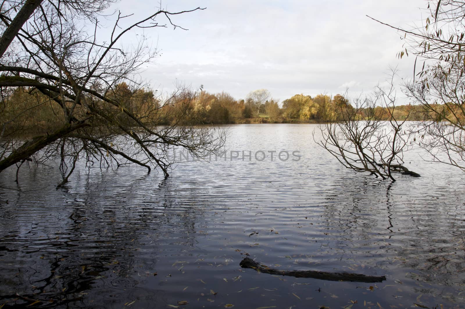 Lake by mbtaichi