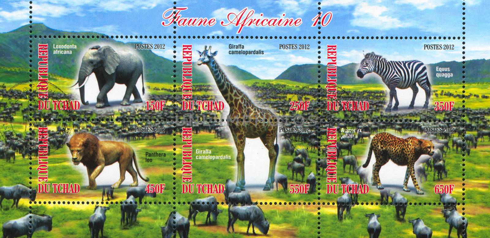 CHAD - CIRCA 2012: stamp printed by Chad, shows african animal, circa 2012