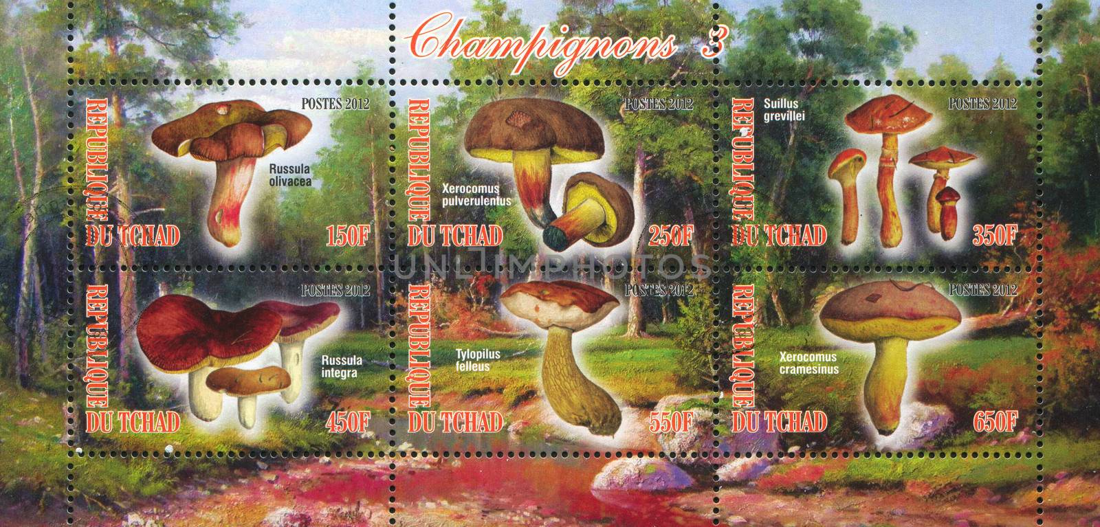 CHAD - CIRCA 2012: stamp printed by Chad, shows mushroom, circa 2012