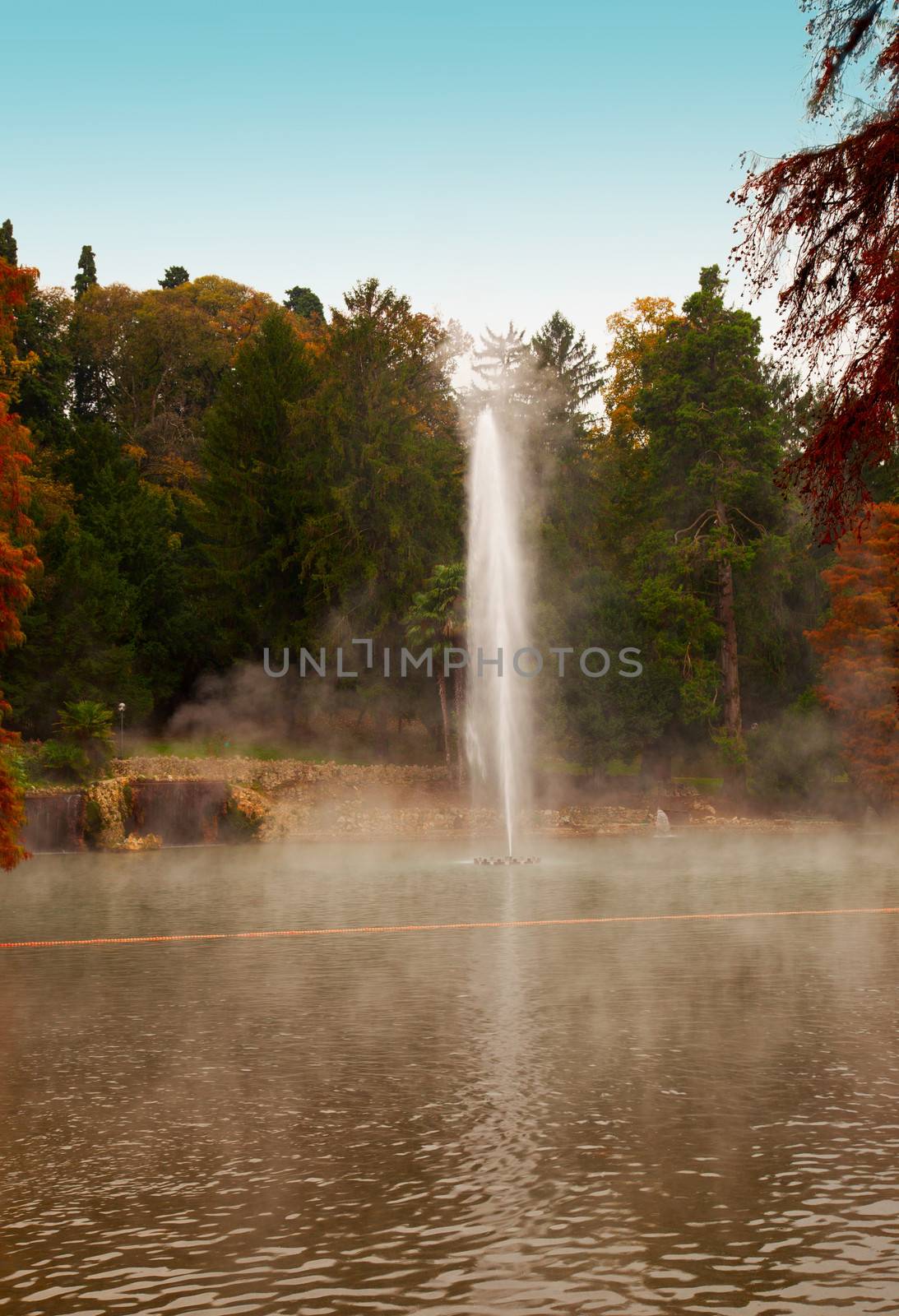 Thermal Lake with big trees on the sides and big water jet