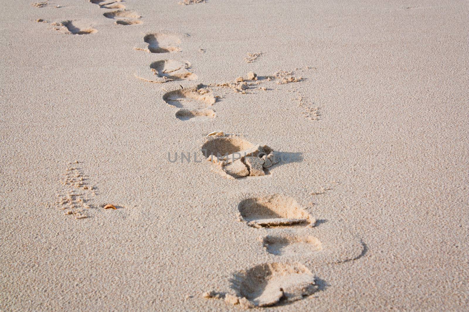 Footprints in the sand.