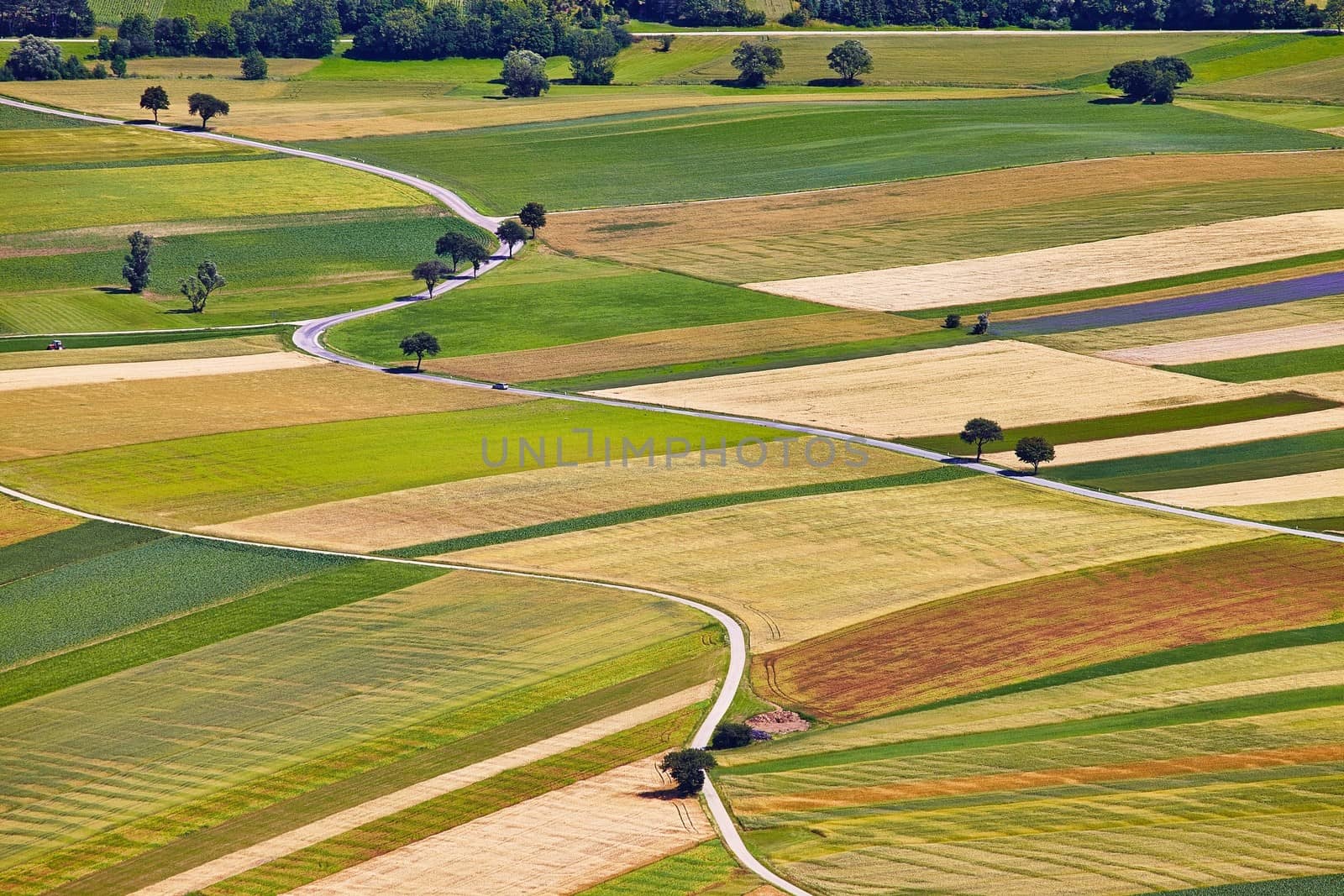 Aerial view of agricultural fields