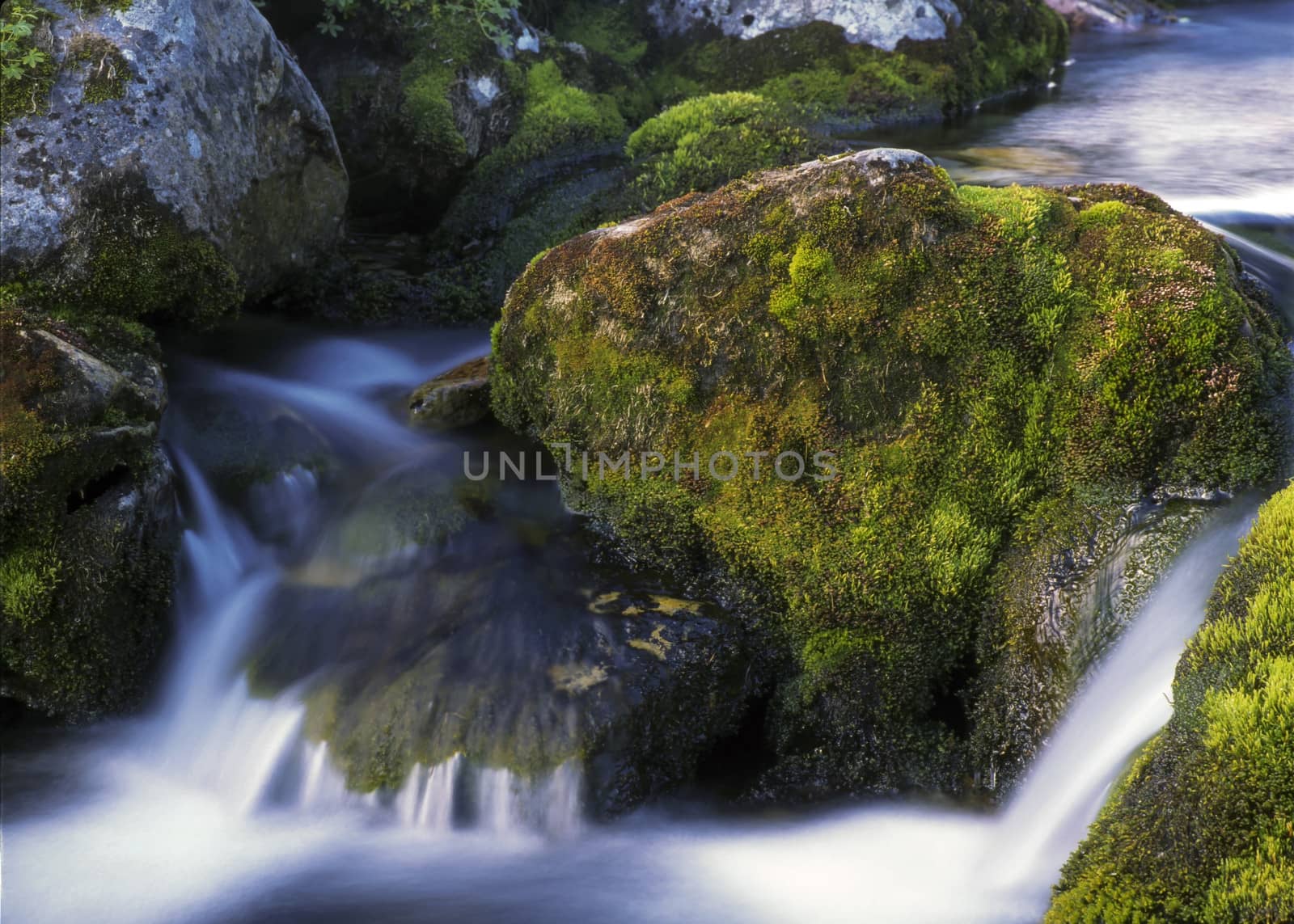 Nature landscape of mountain stream