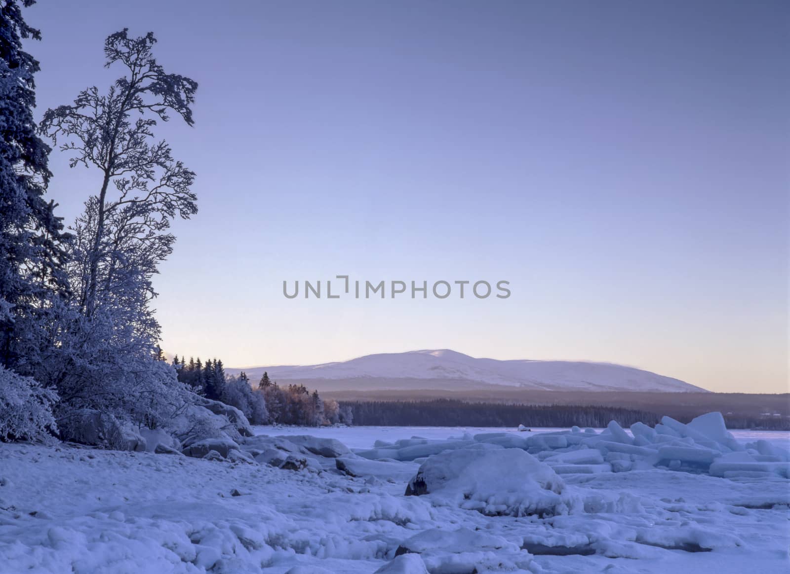 Beautiful landscape of winter forest