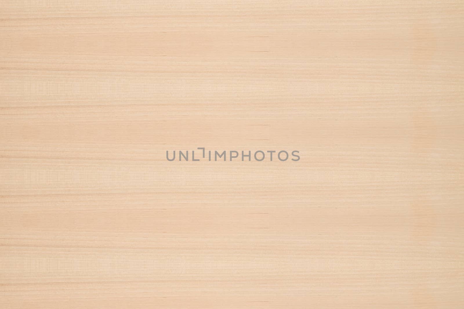Texture of wood background closeup 