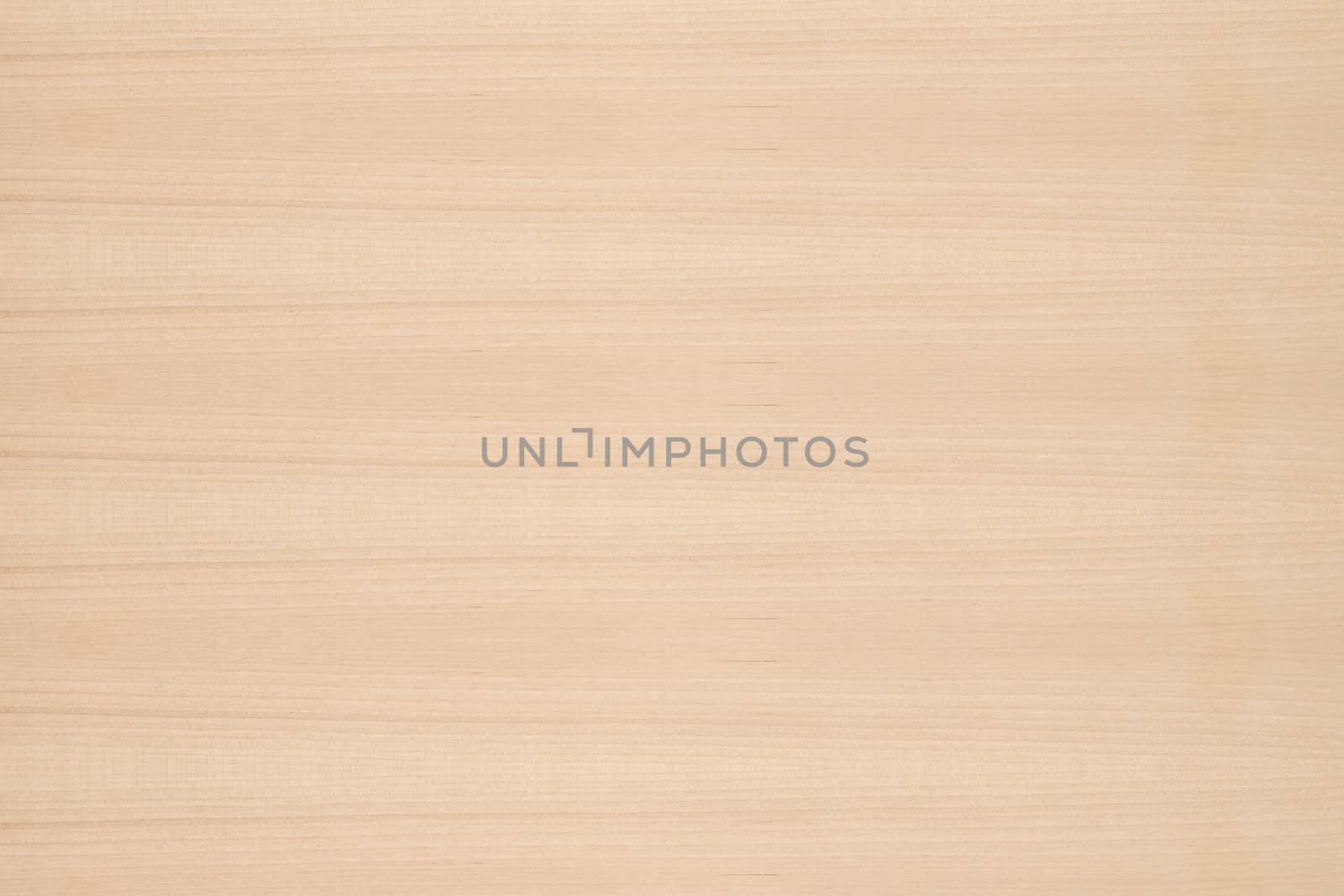 Texture of wood background closeup 