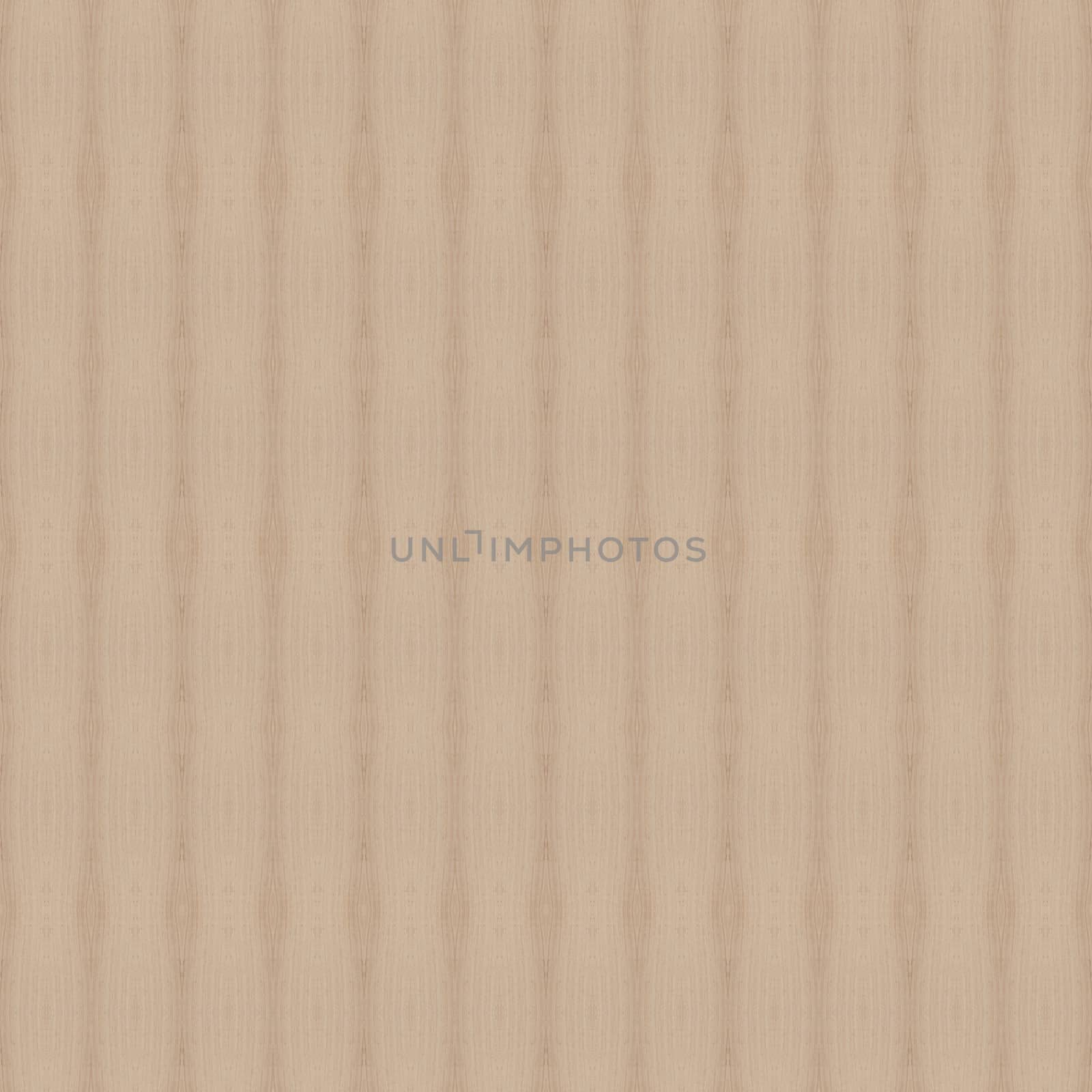 Texture of wood background closeup
