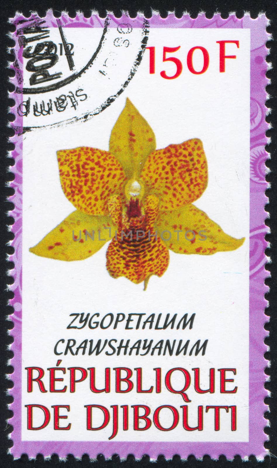 DJIBOUTI - CIRCA 2012: stamp printed by Djibouti, shows flower, circa 2012