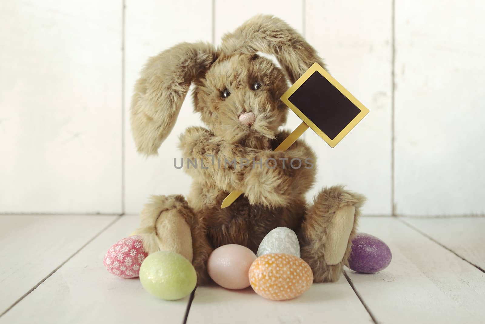 Adorable Easter Bunny Themed Holiday Occasion Image