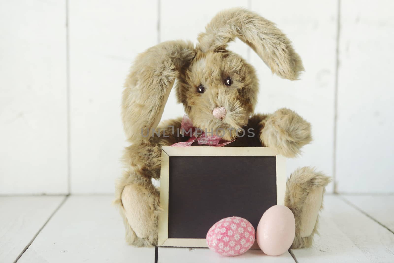 Adorable Easter Bunny Themed Holiday Occasion Image