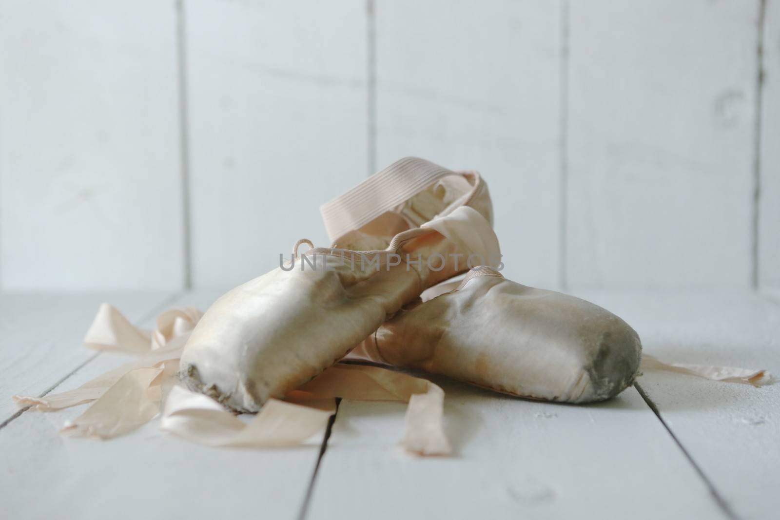 Romantic Posed Pointe Shoes in Natural Light 