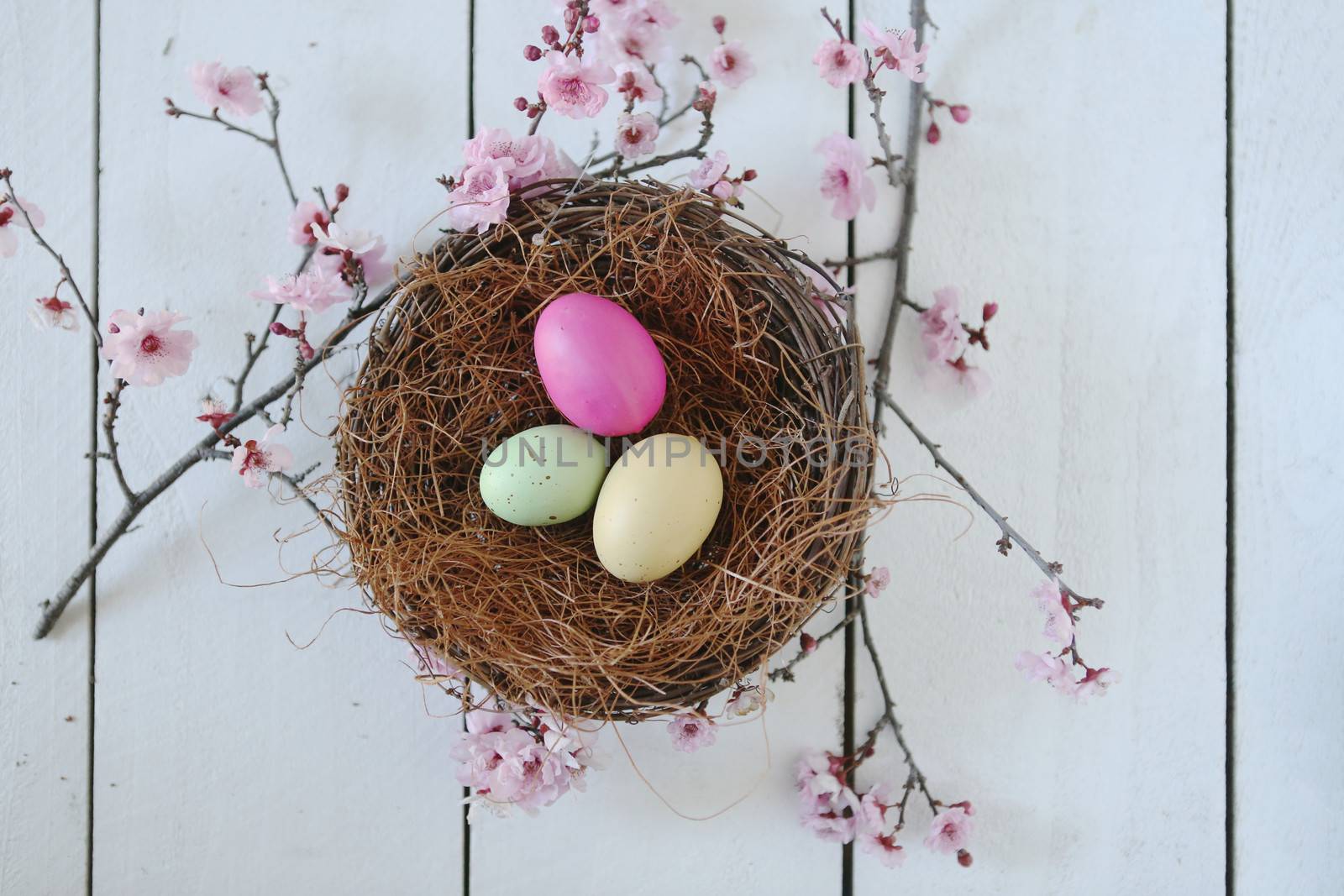 Spring Easter Holiday Themed Still Life Scene in Natural Light