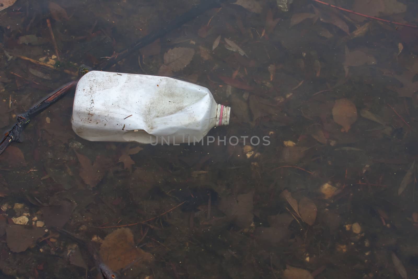 Bottle floating in a pond, pollution and litter.