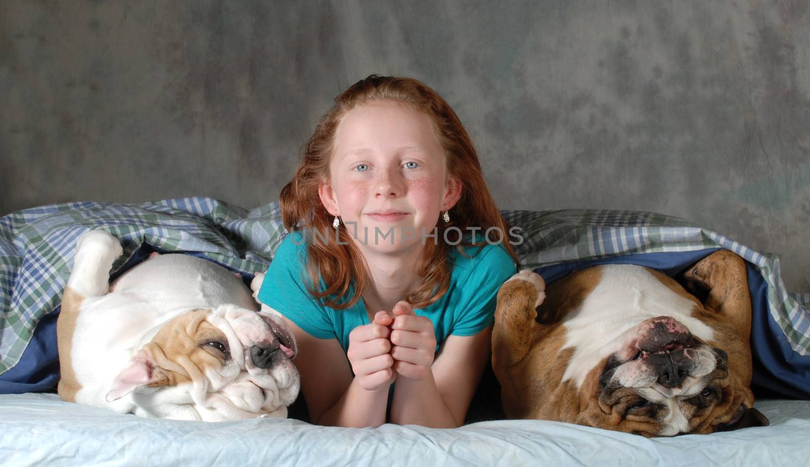 sleeping with the dogs - child with two bulldog in bed 