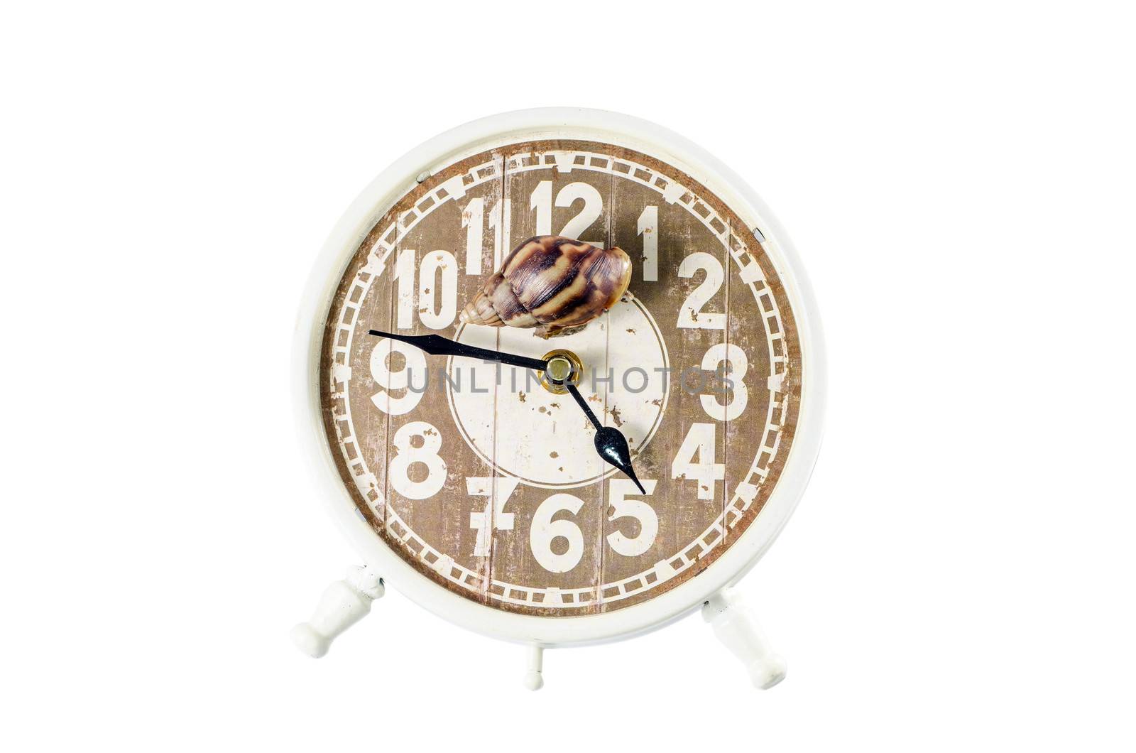 Snail on an alarm clock, time concept.Clipping path included