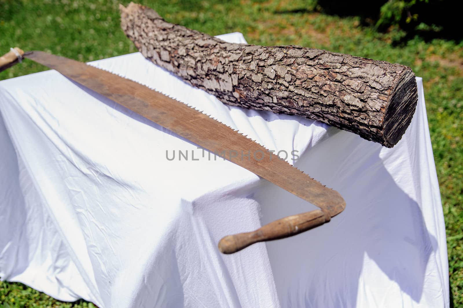 Hand saw and tree trunk on a table