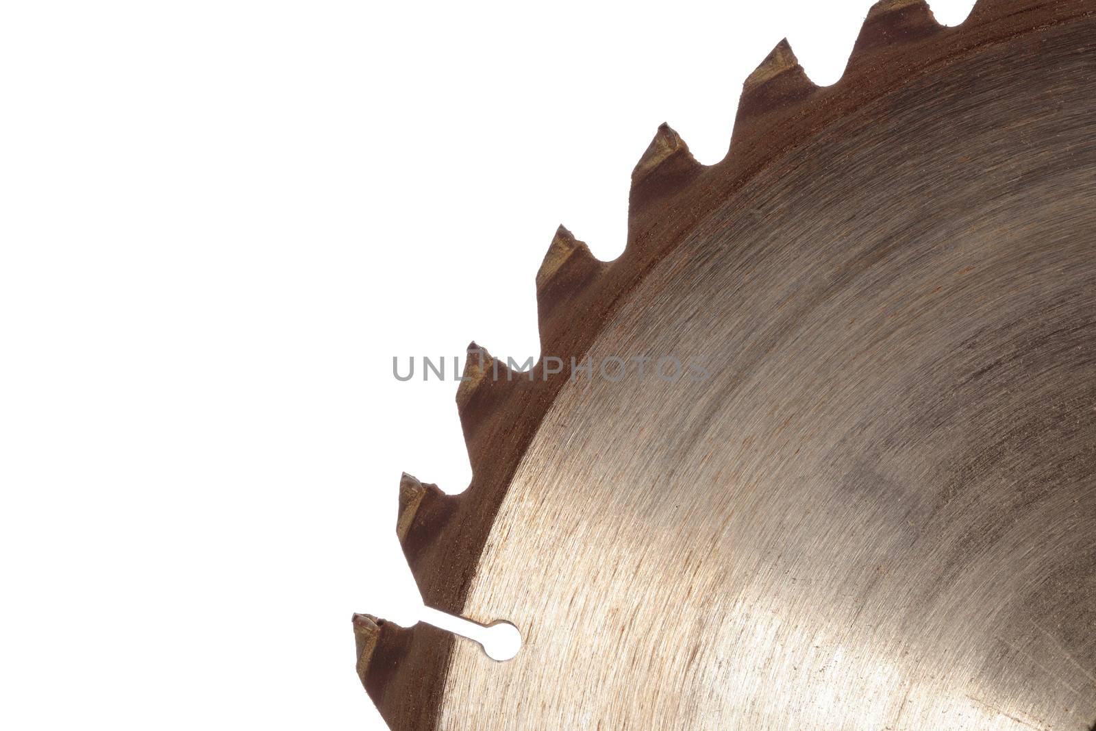detail of the teeth of a circular saw