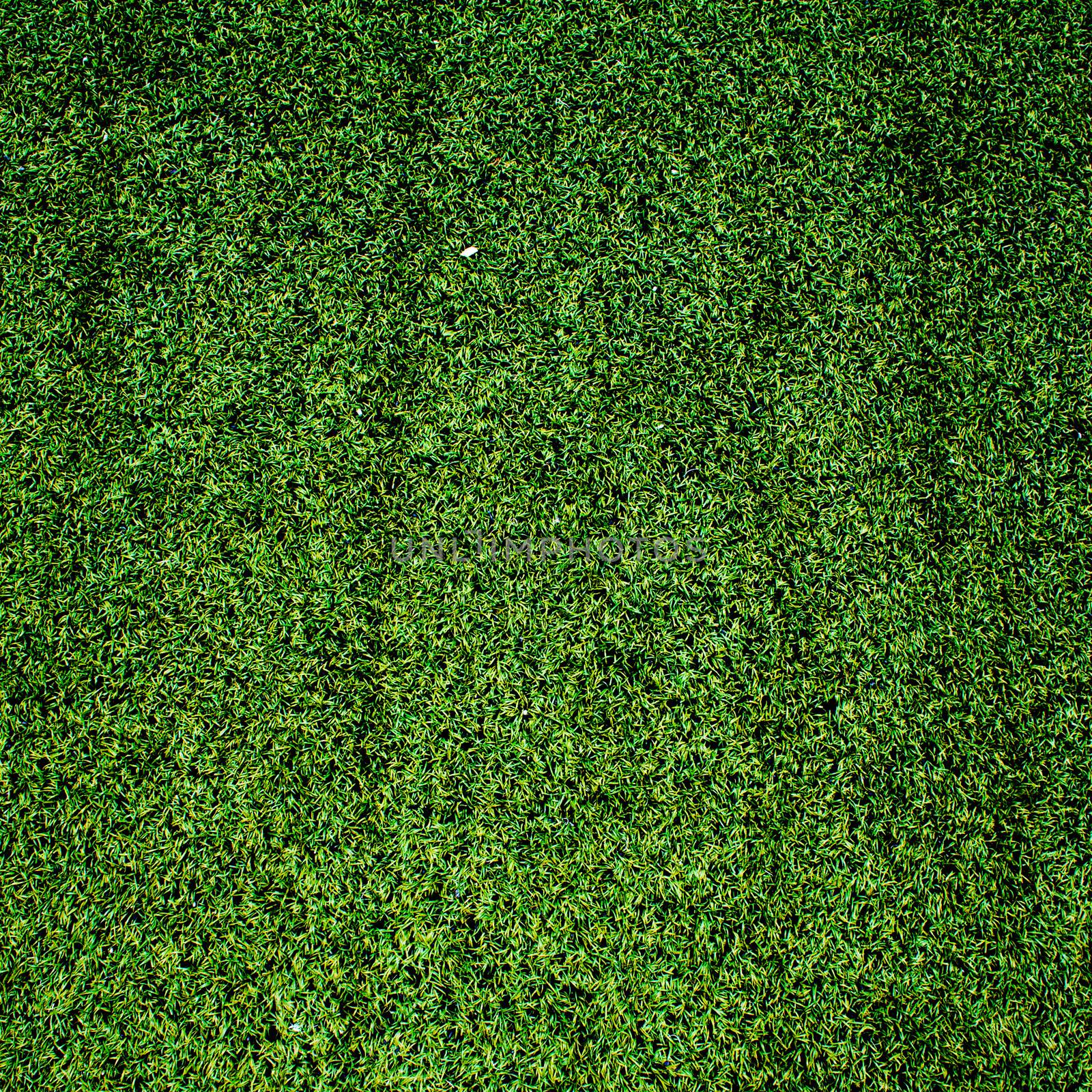 Green grass background by 2nix