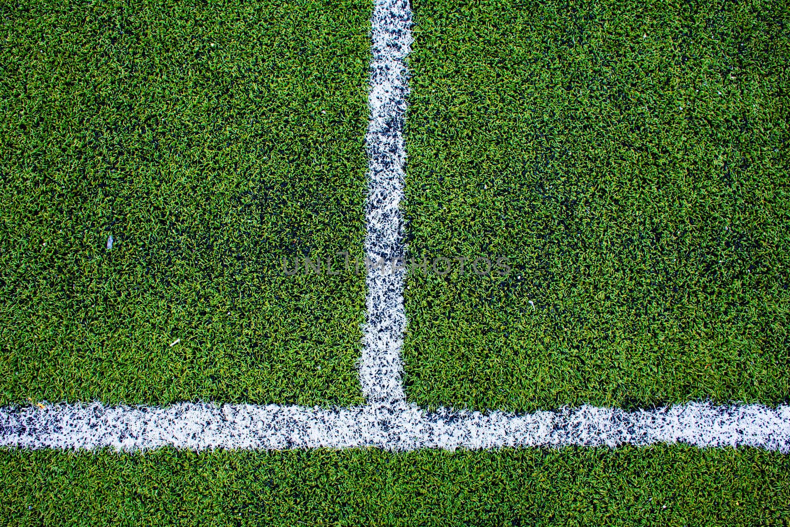 green natural grass of a Football soccer field by 2nix
