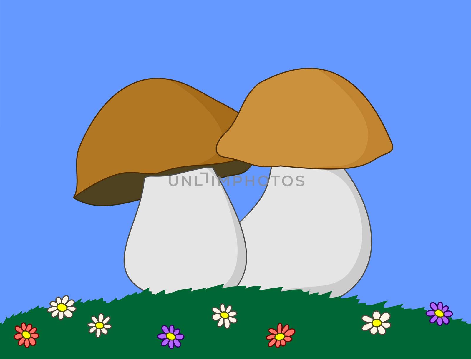 Cartoon, mushrooms in a green grass with multi-coloured flowers.