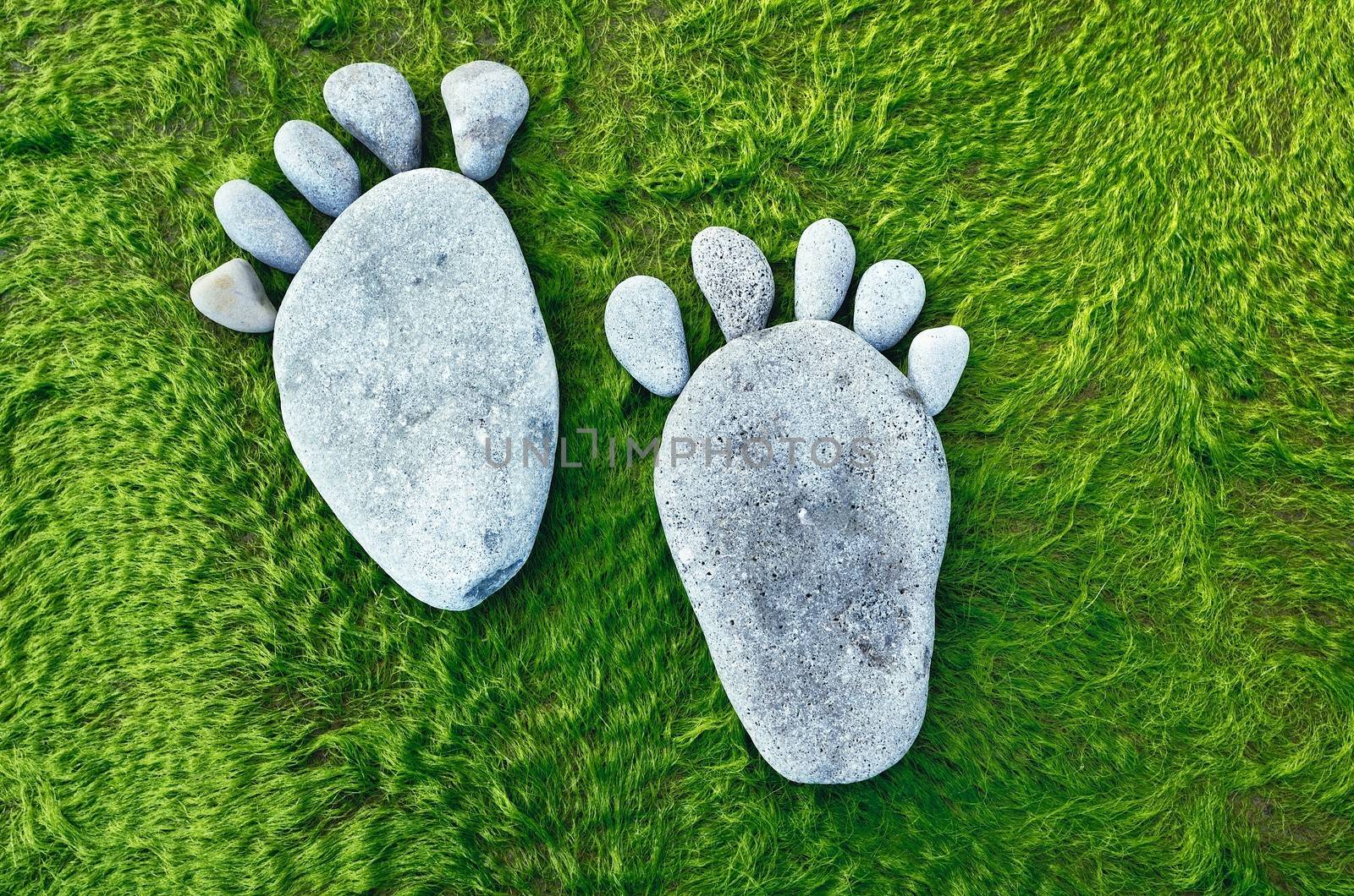 Traces feet of a pebble stone on a green seaweed
