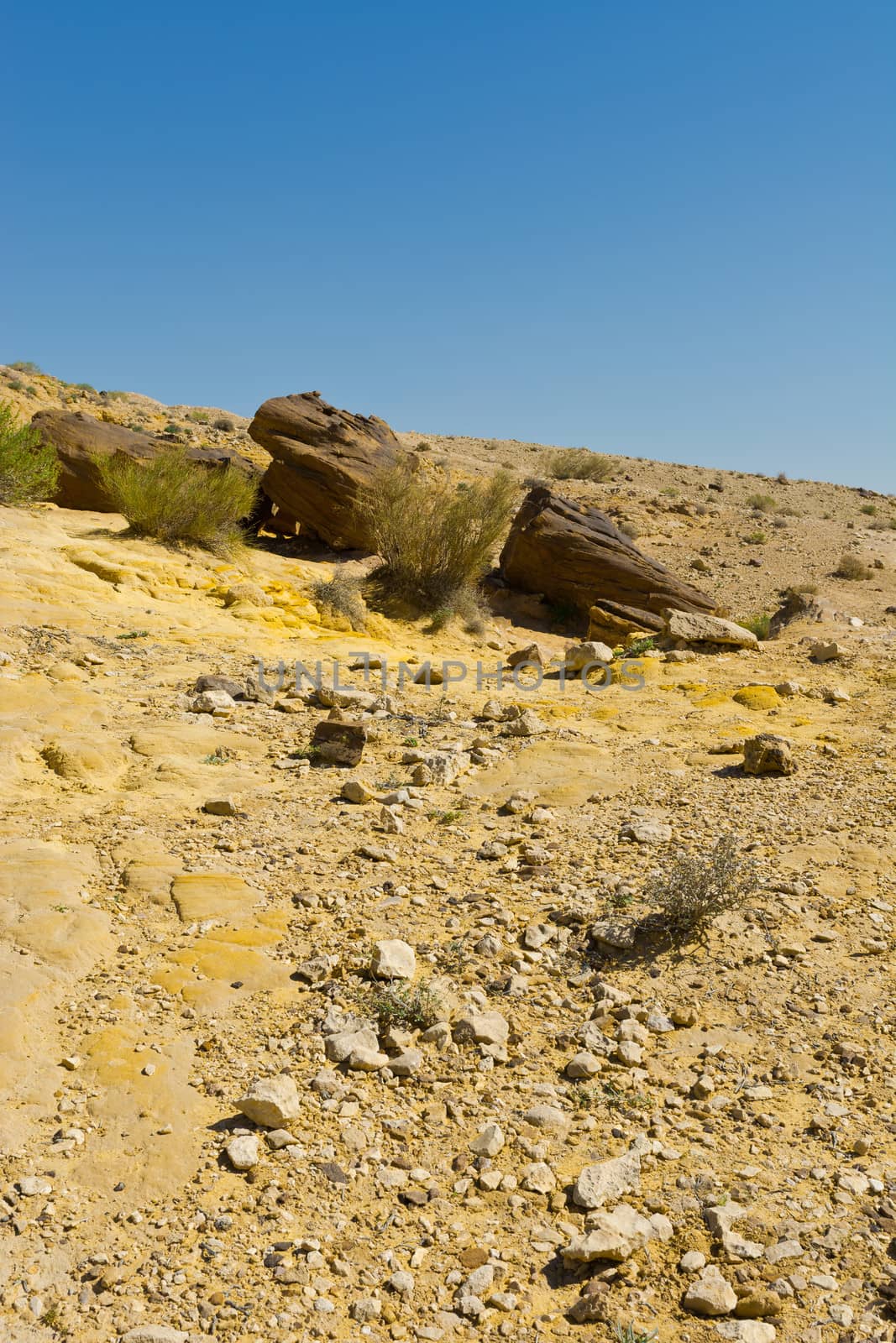 Black Stones of Grand Crater in Negev Desert, Israel