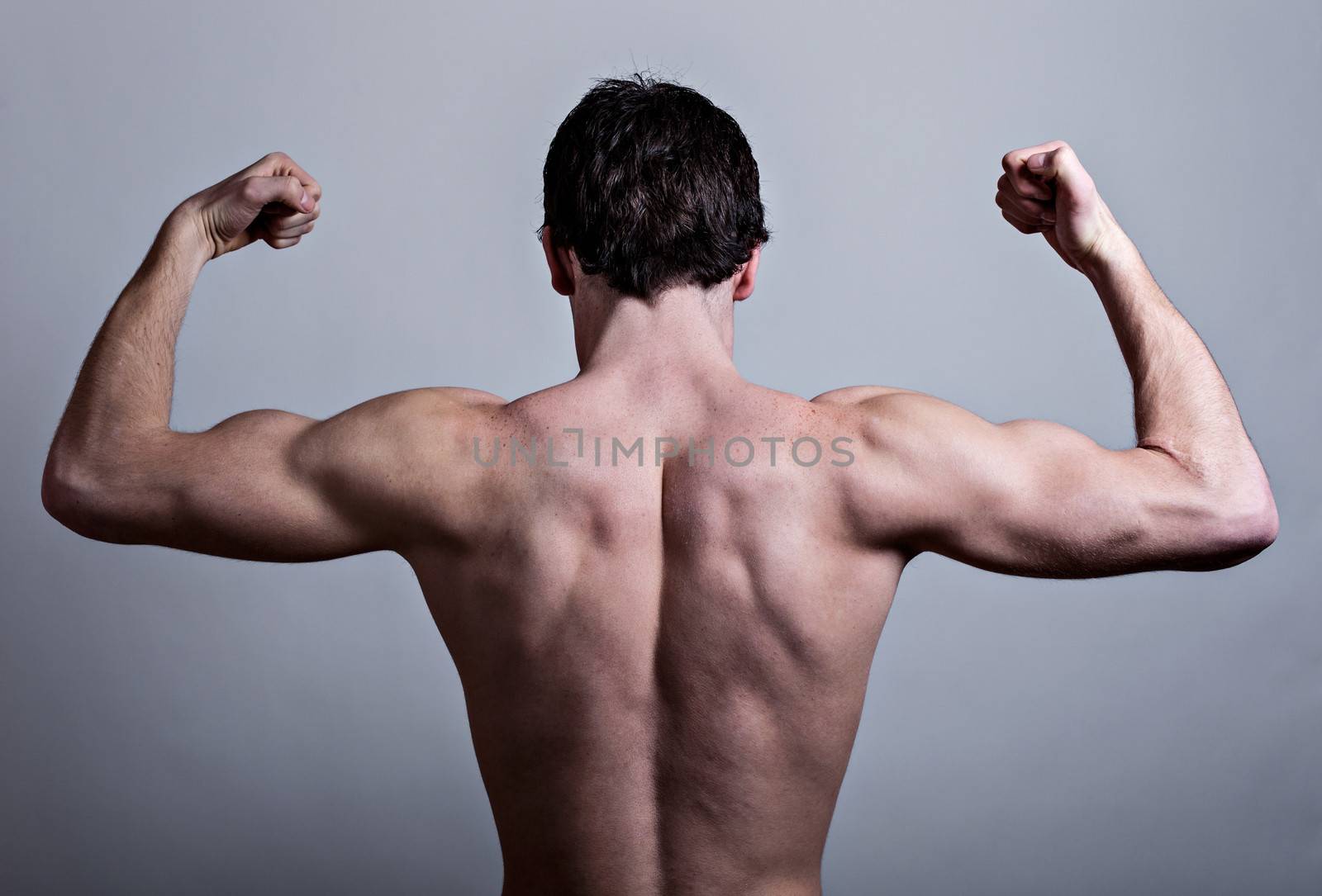 Muscular male back over gray background
