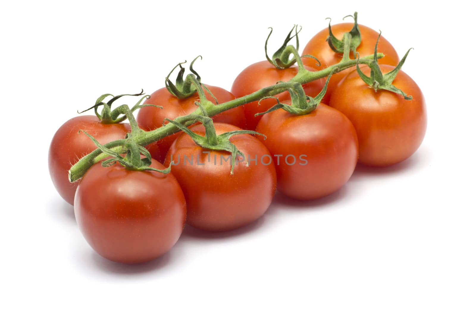 Eight cherry tomatoes on a white background.
Still attatched to the green twig