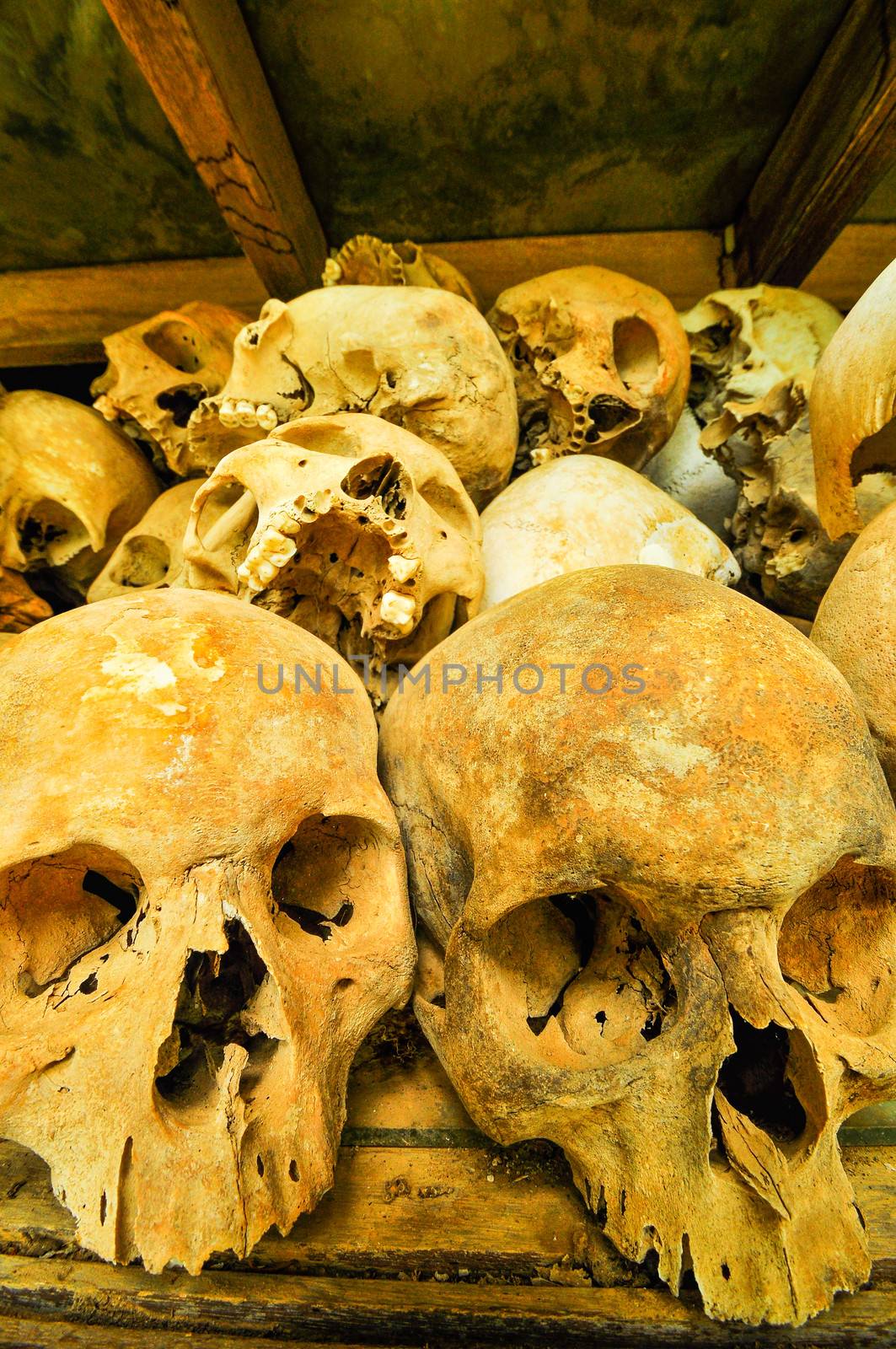 Skulls from the Killing Fields in Cambodia, this happened from a by weltreisendertj