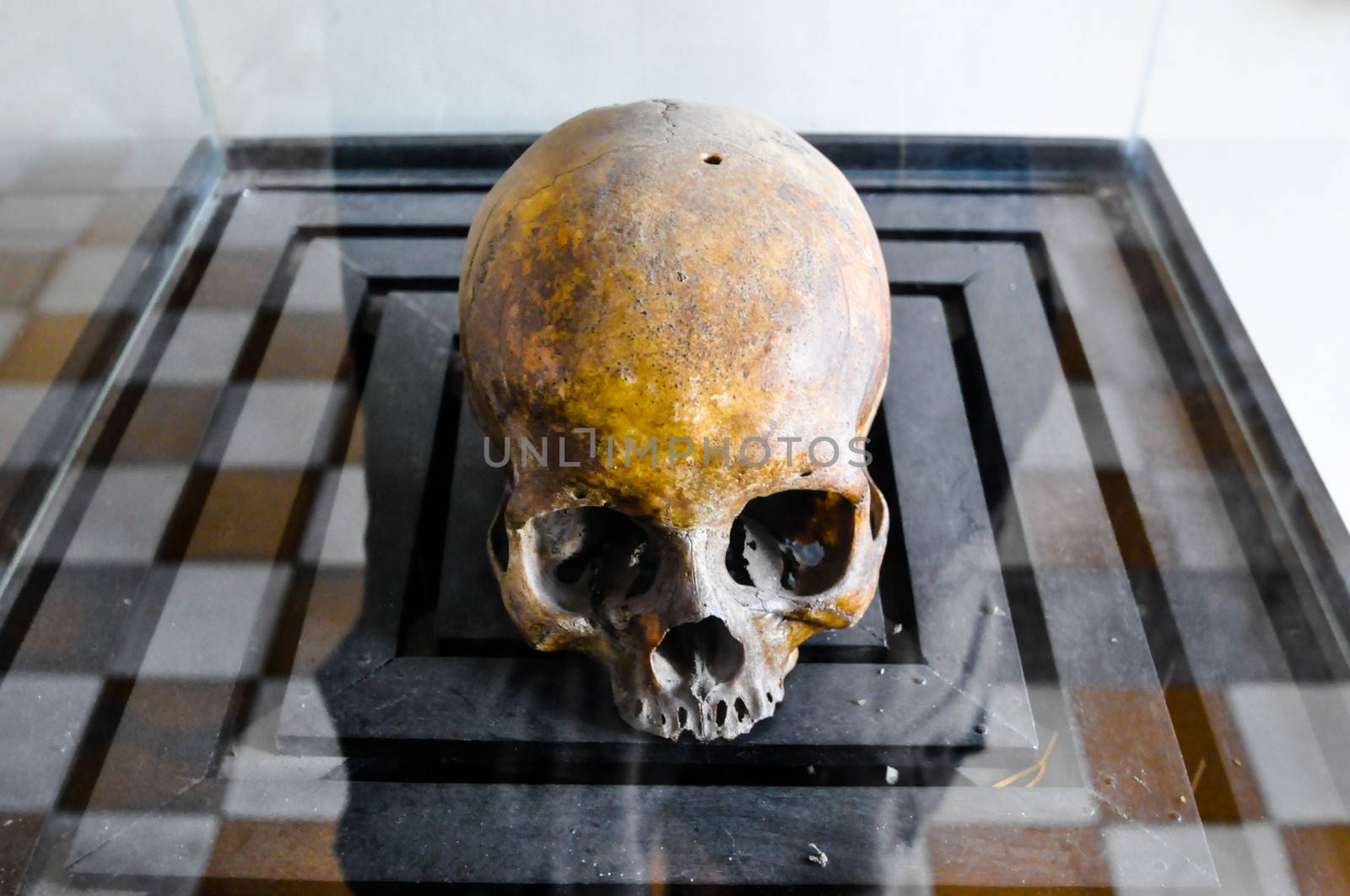 Skulls from the Killing Fields in Cambodia, this happened from around 1975 till 1979. Asia