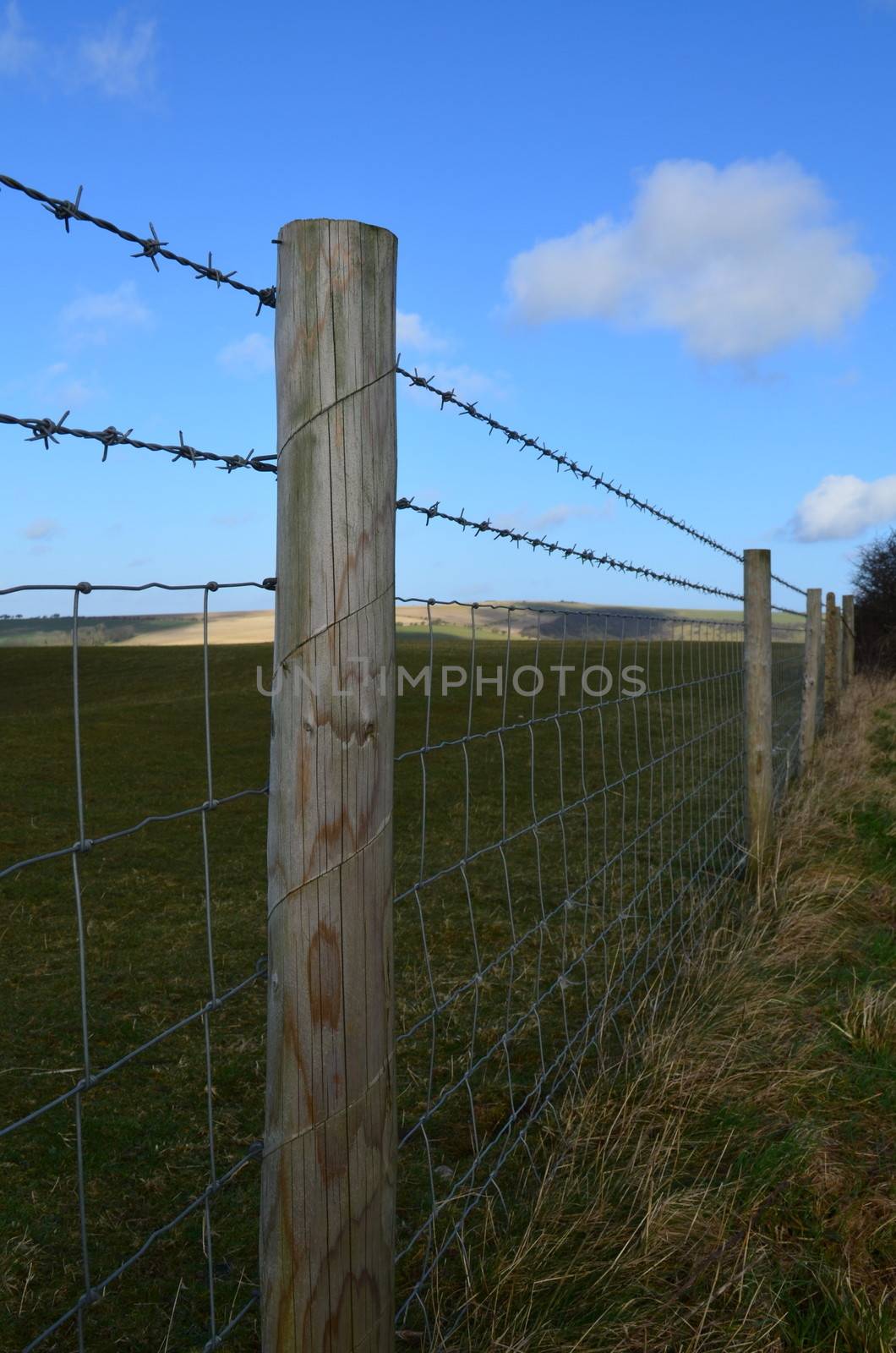 Barbed wire fence running through open pasture land in Sussex,England.