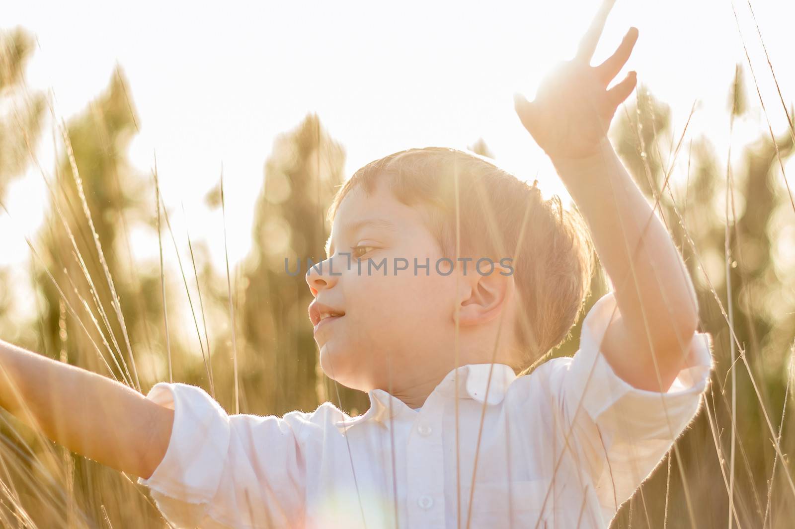 Happy cute kid in a field playing with natural spikes at summer sunset. Soft colors edition.