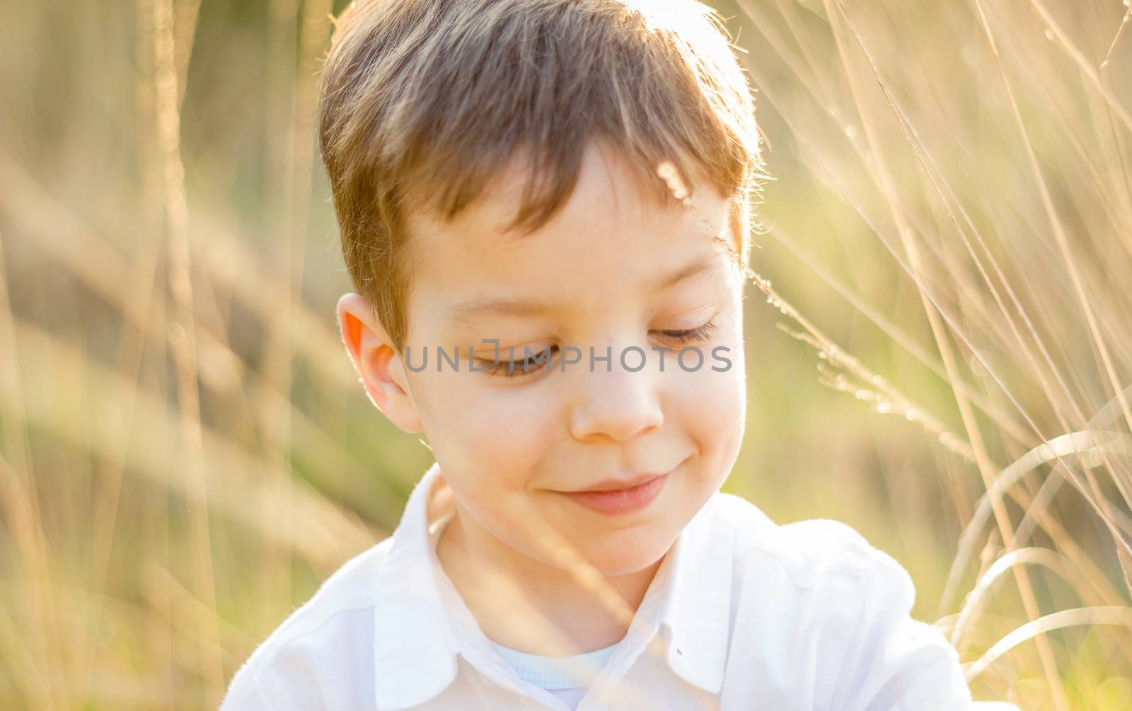 Kid in field playing with spikes at summer sunset by doble.d