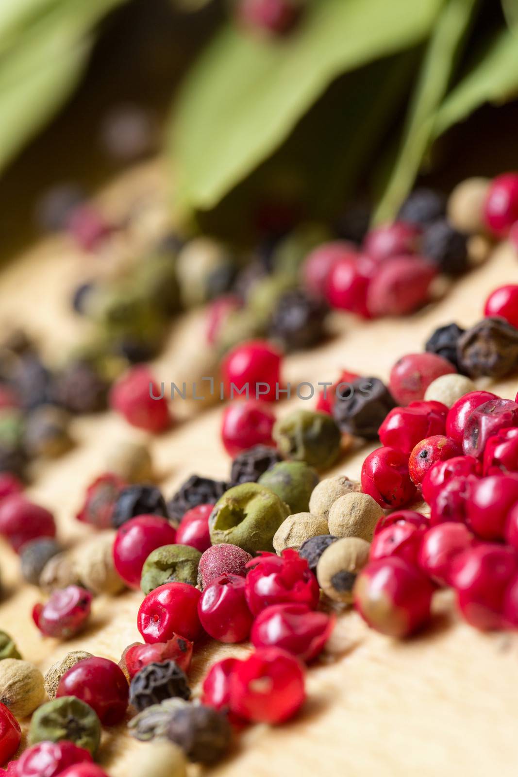Dry bay laurel leaf with multicolored peppercorn by Discovod