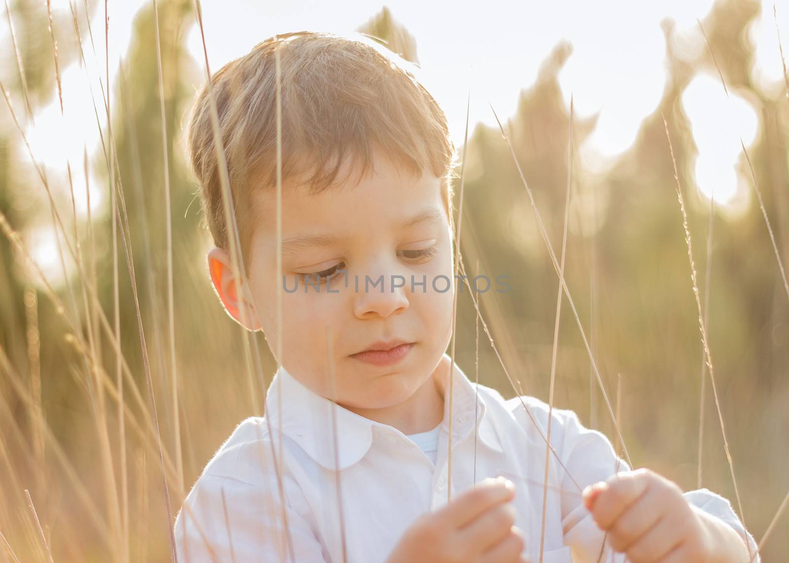 Kid in field playing with spikes at summer sunset by doble.d