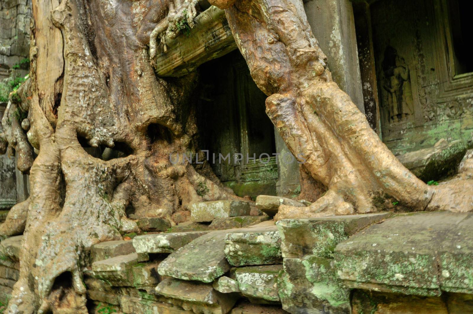 Ancient buddhist khmer temple in Angkor Wat complex, Siem Reap C by weltreisendertj