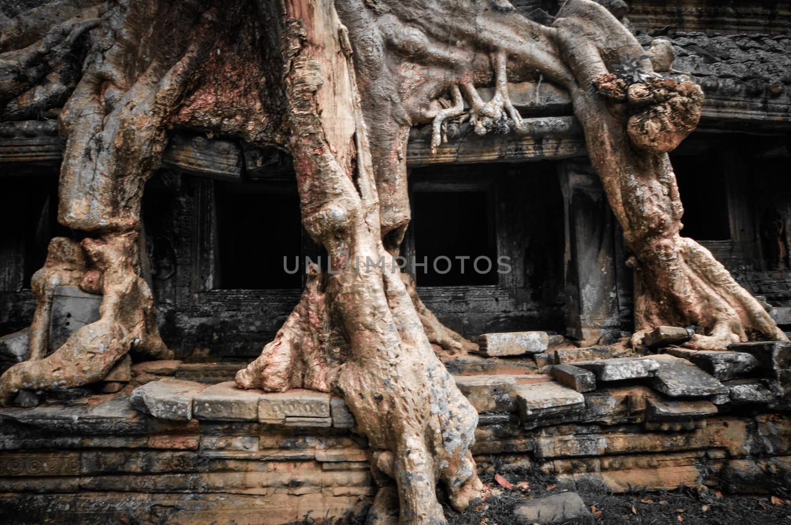 Ancient buddhist khmer temple in Angkor Wat complex, Siem Reap C by weltreisendertj