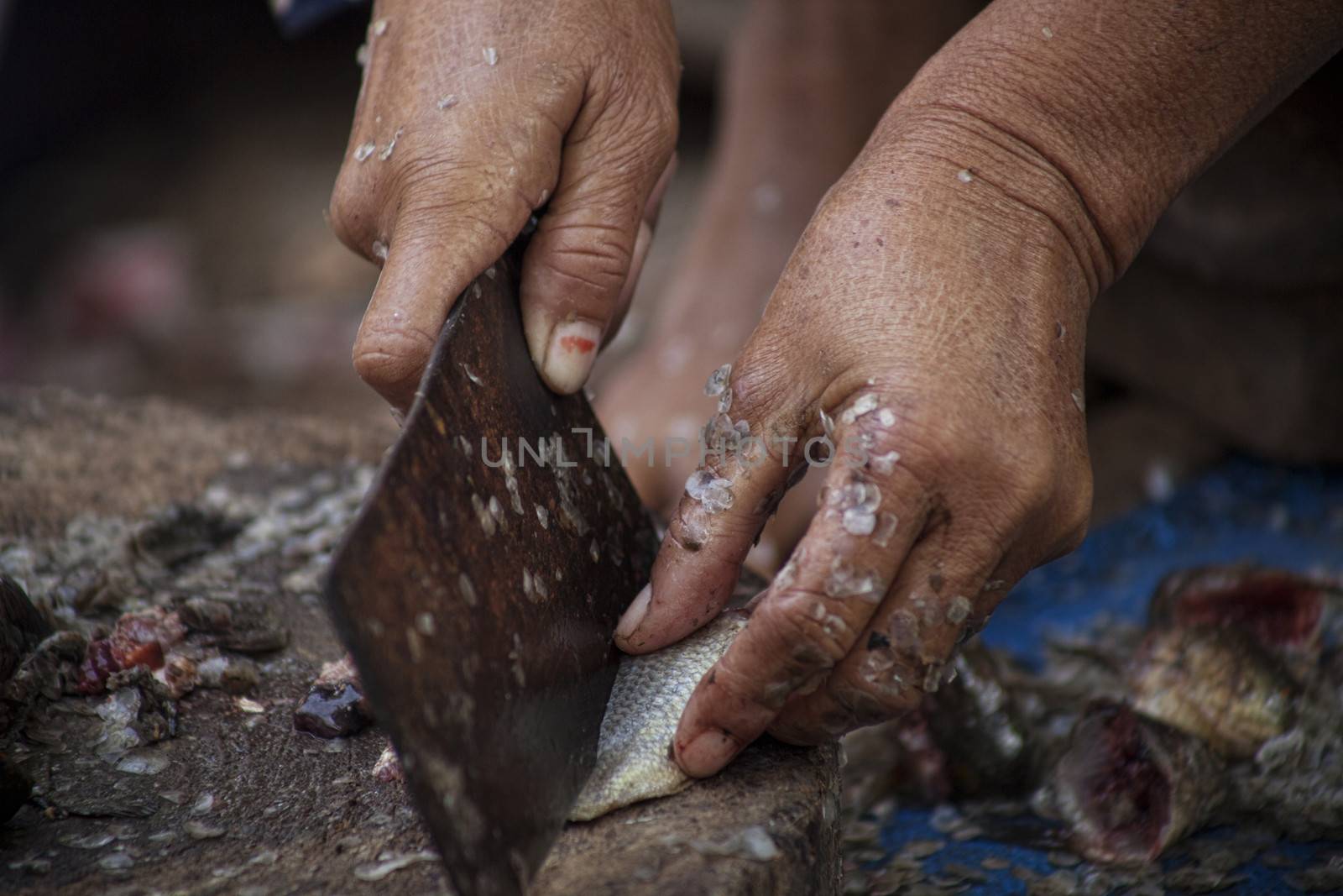 Ederly woman  cutting raw fish  in a food market in Cambodia