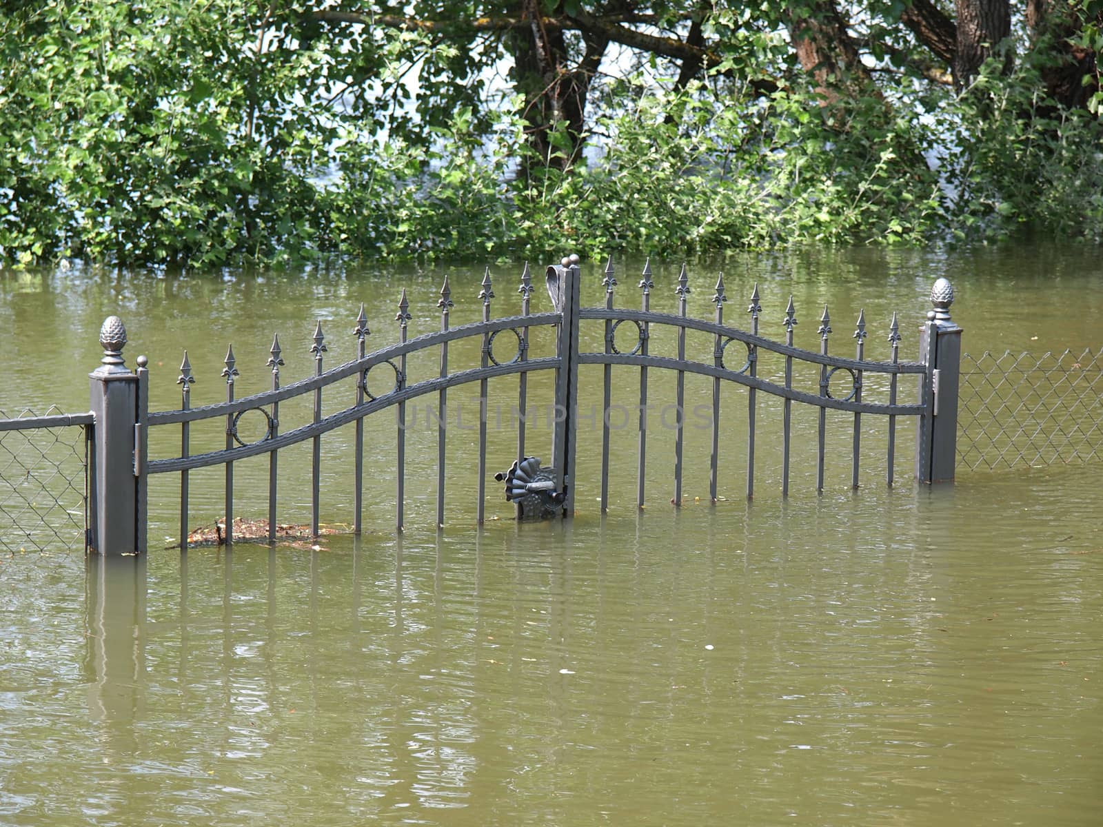 flooded fence by nevenm