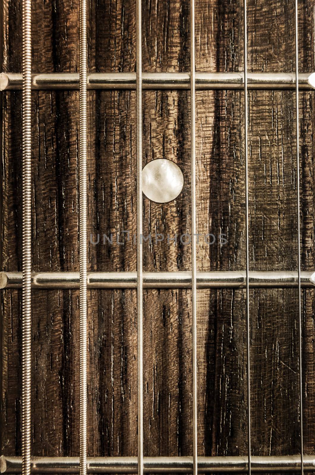 Detail close-up view of guitar strings and frets by martinm303