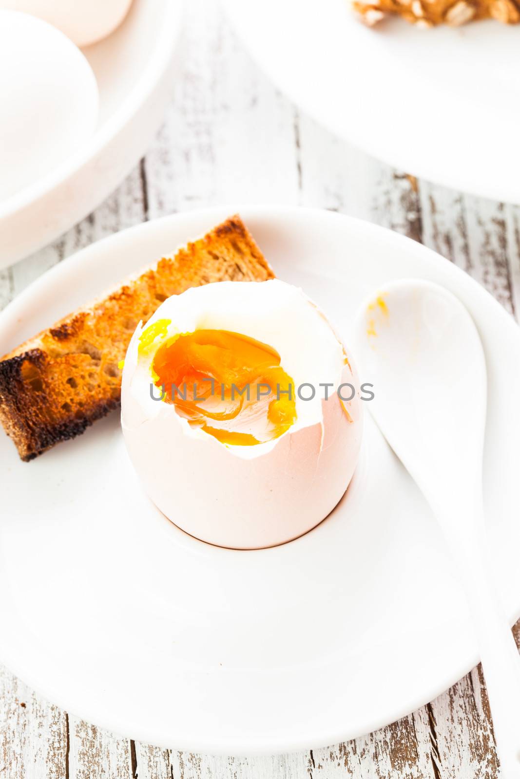 The soft-boiled egg in an eggcup with toasted bread