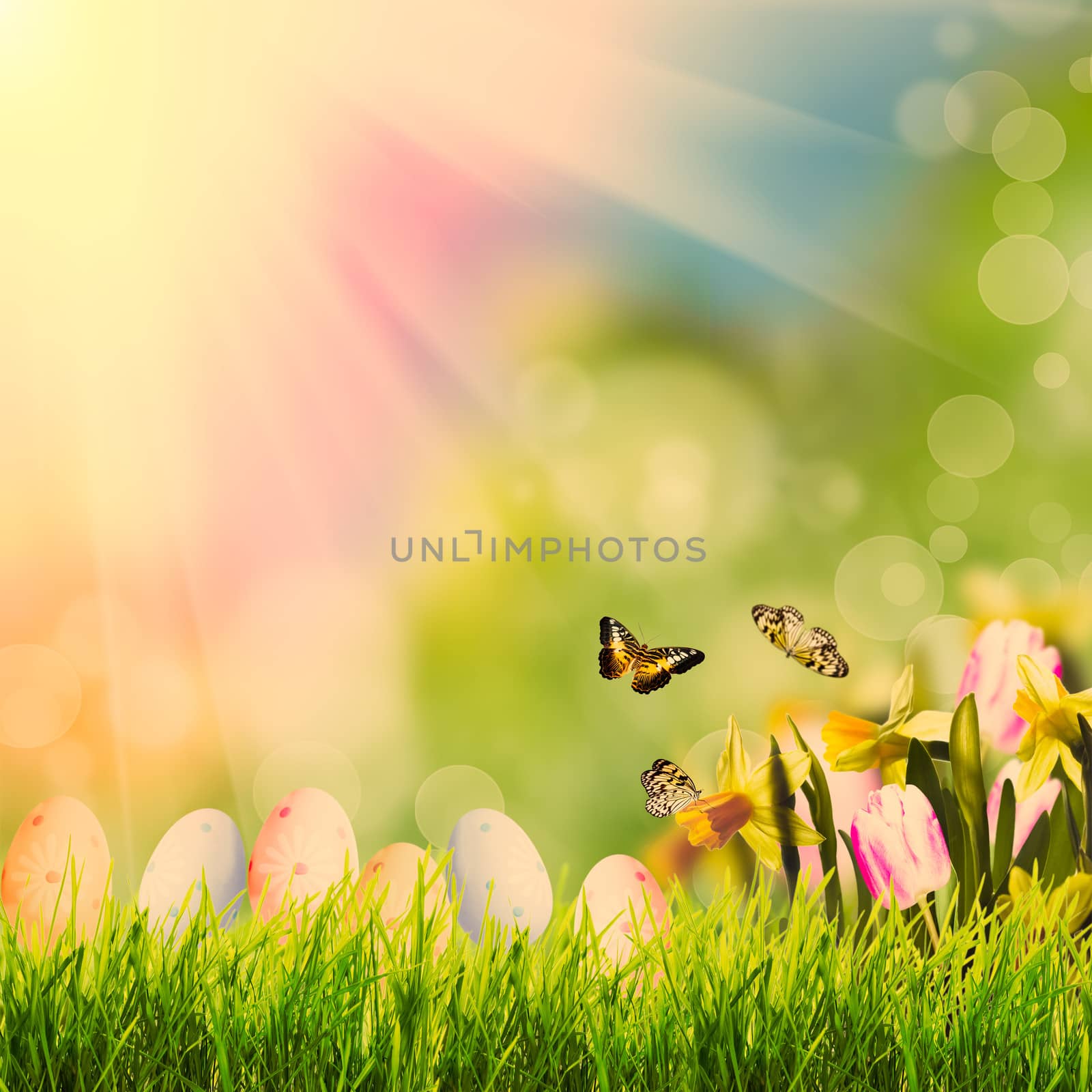 Easter greetings with grass over spring bokeh and sunlight