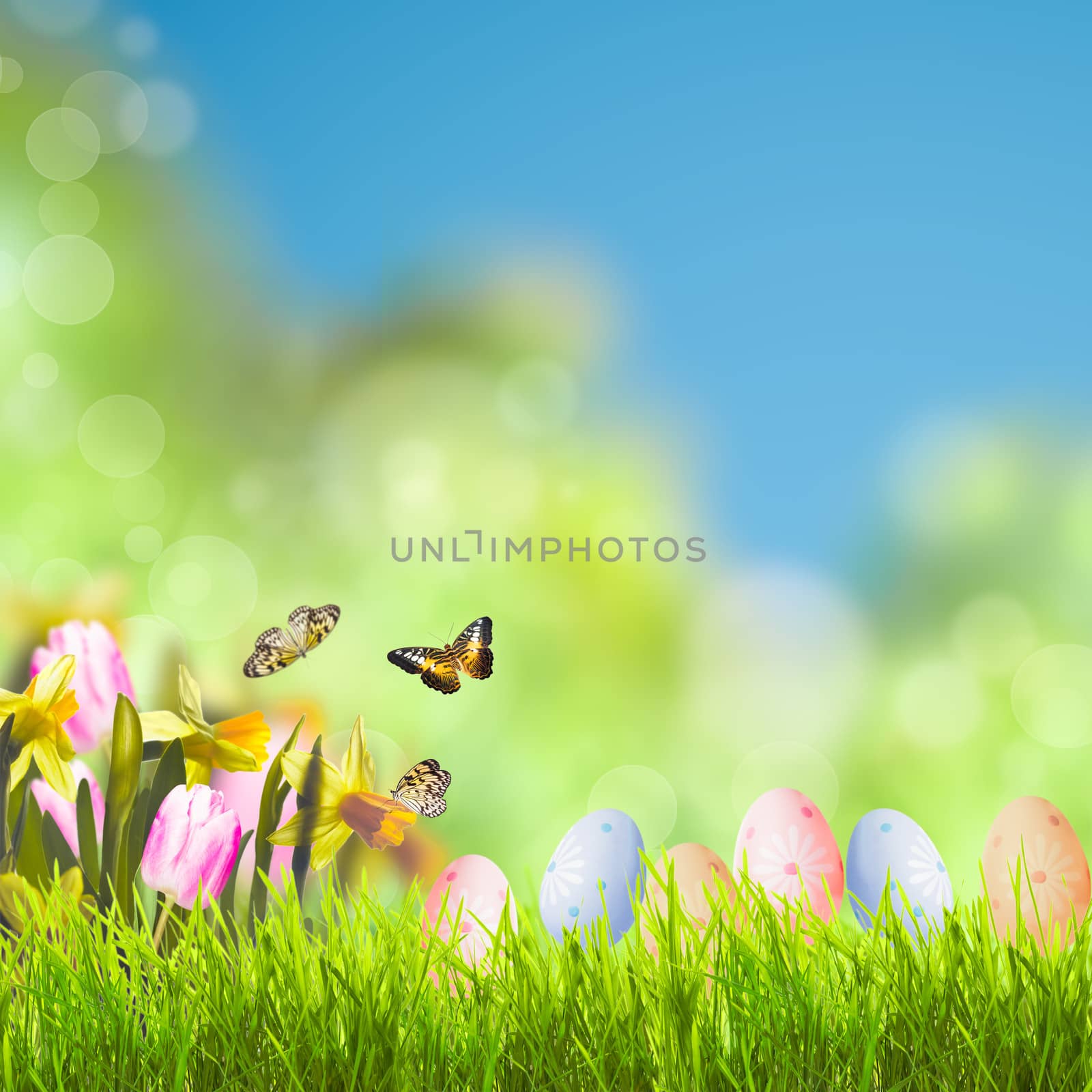 Easter greetings with grass over spring bokeh and sunlight