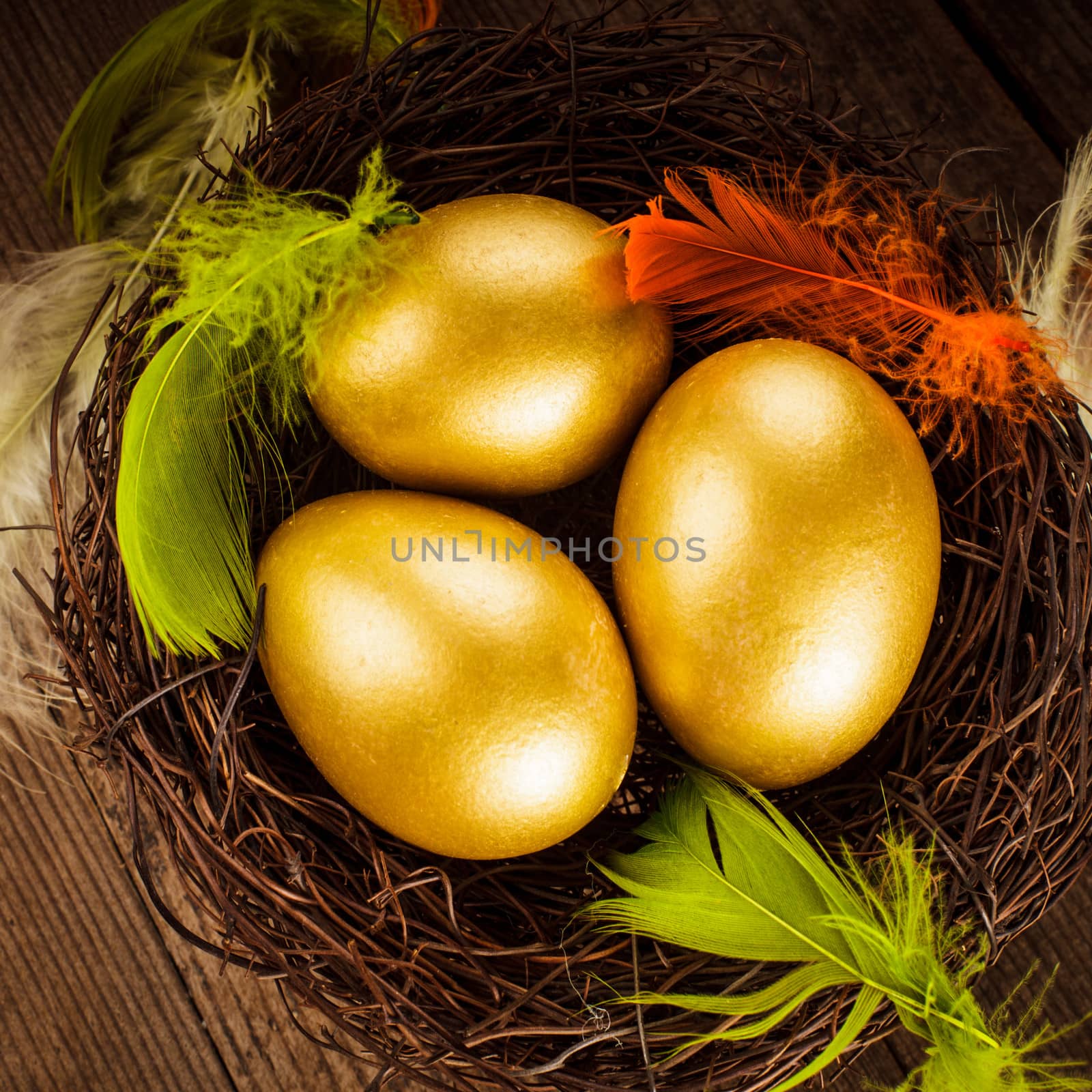 golden eggs in the nest by oksix