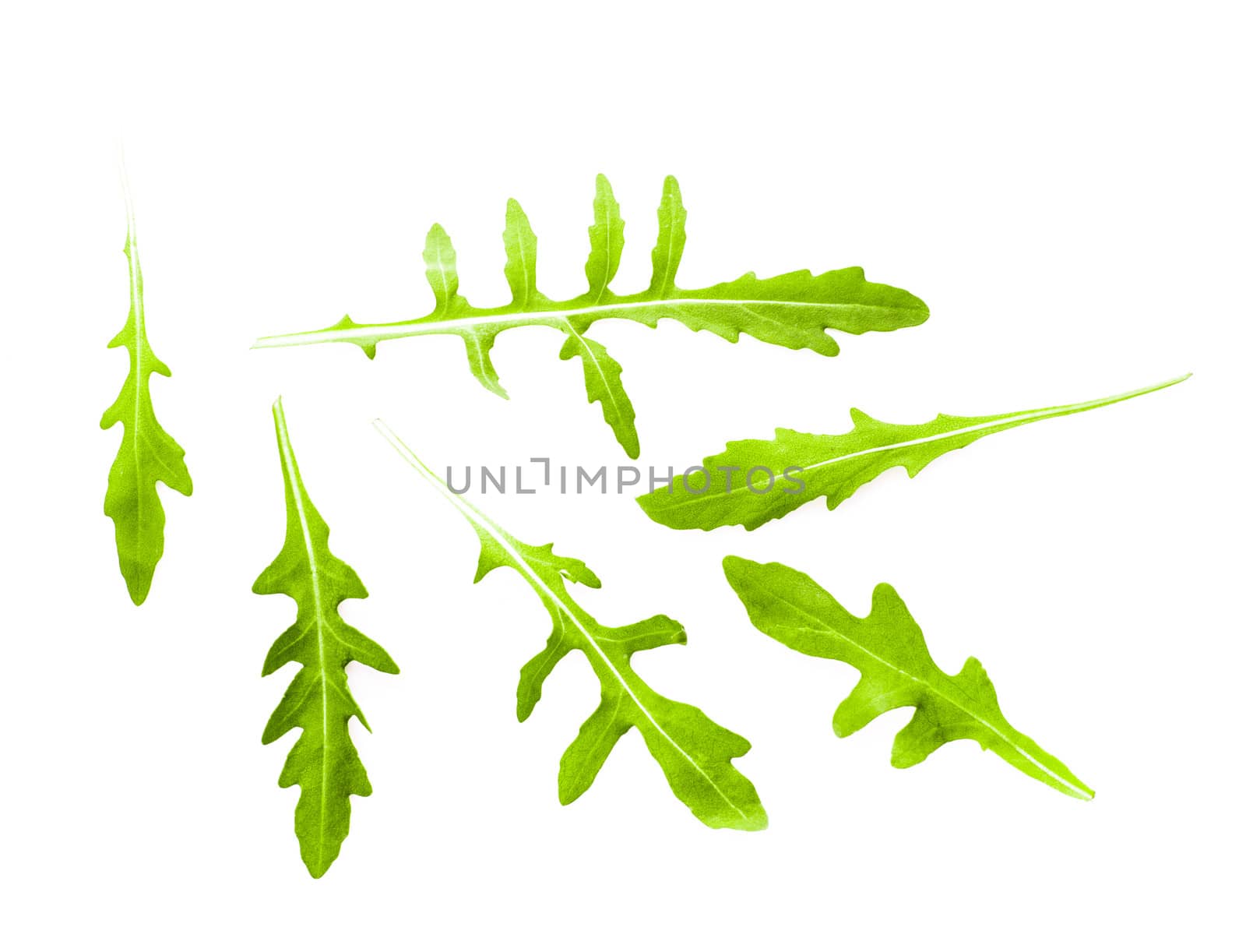 Fresh green arugula heap isolated on white