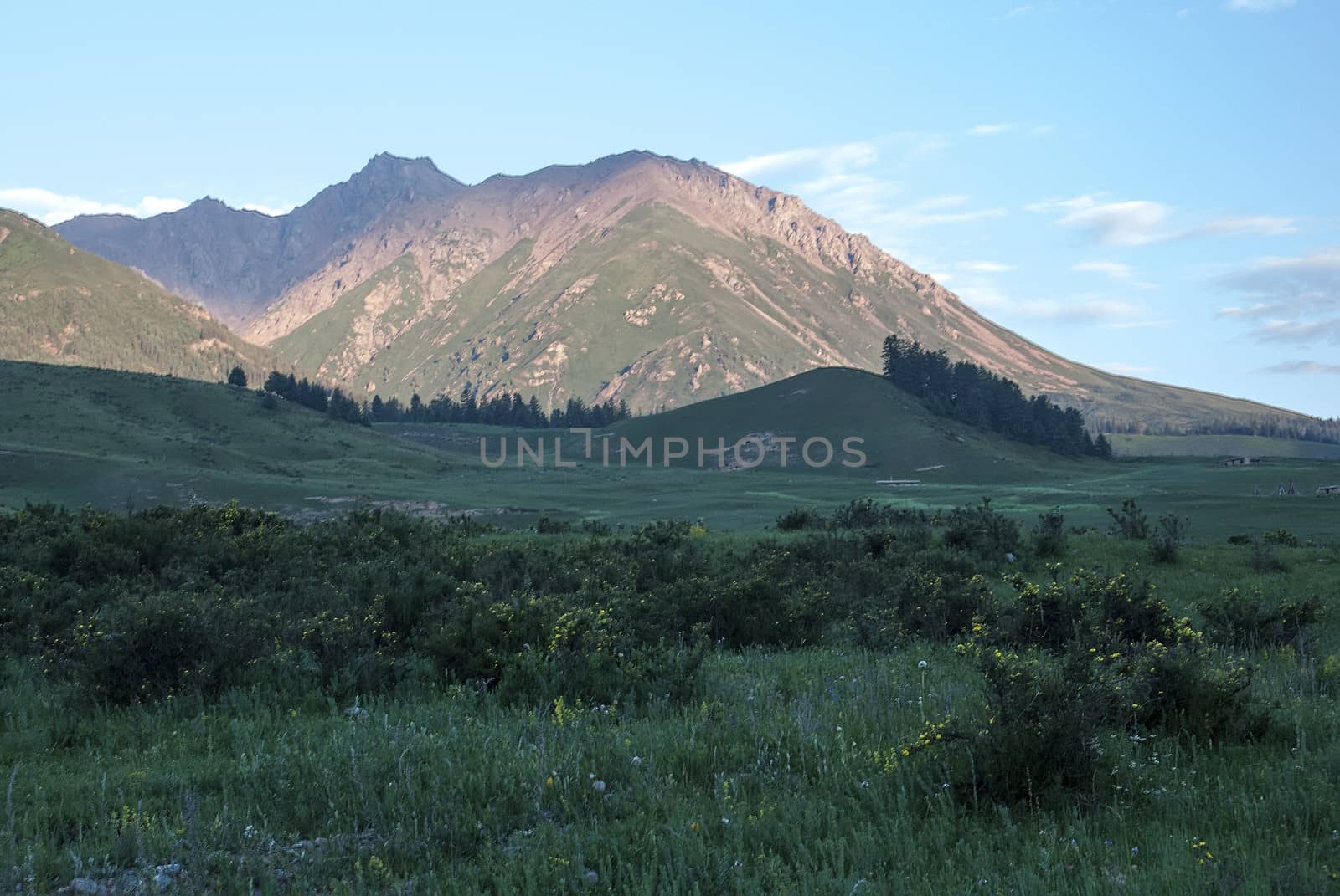 Taken in Qinghai Province, China