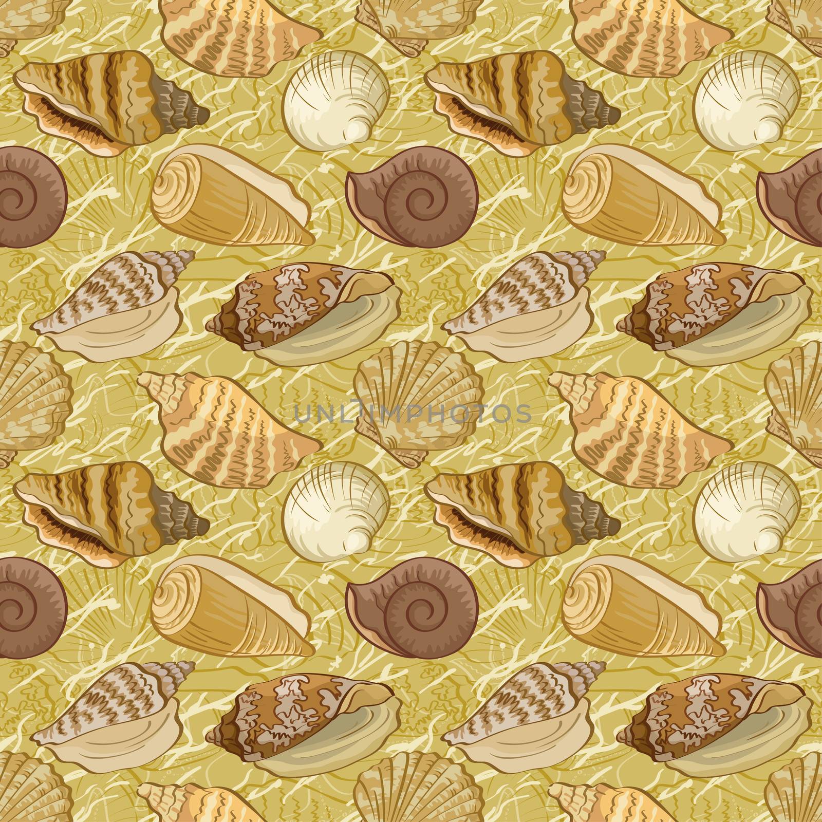 Seamless background, pattern with marine seashells and contour.