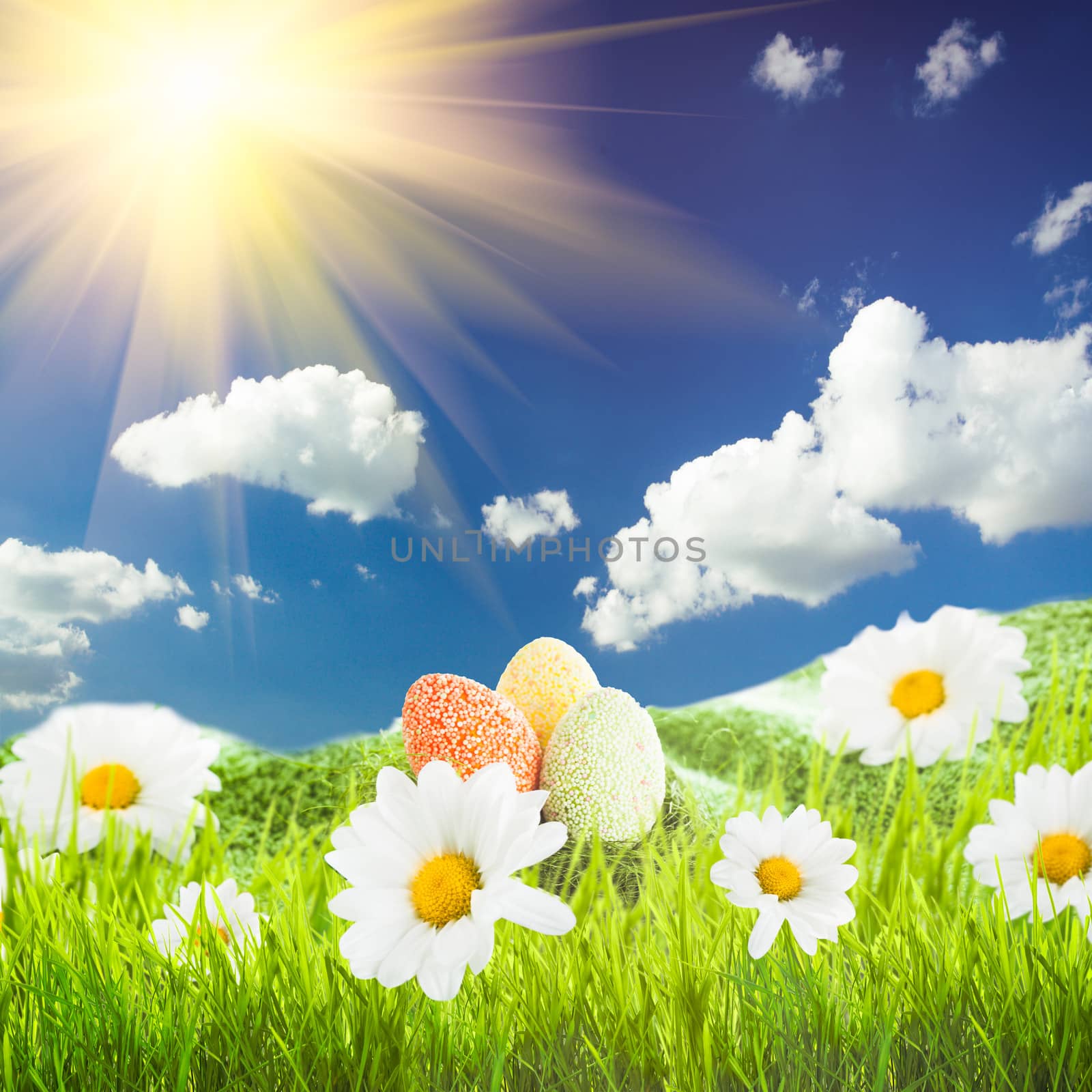 Easter eggs on meadow with daisies and sky